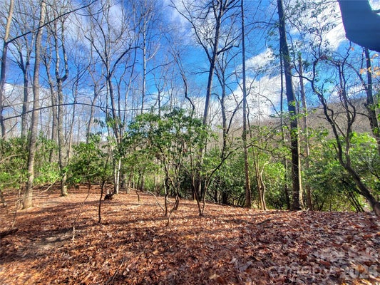 TBD SKYE DRIVE # 803A & 803B, PISGAH FOREST, NC 28768 - Image 528ee2d89c802ffe70ad132bbfd97c4d/59857394