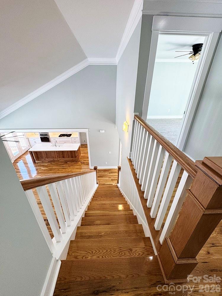 Willow Place - Residential