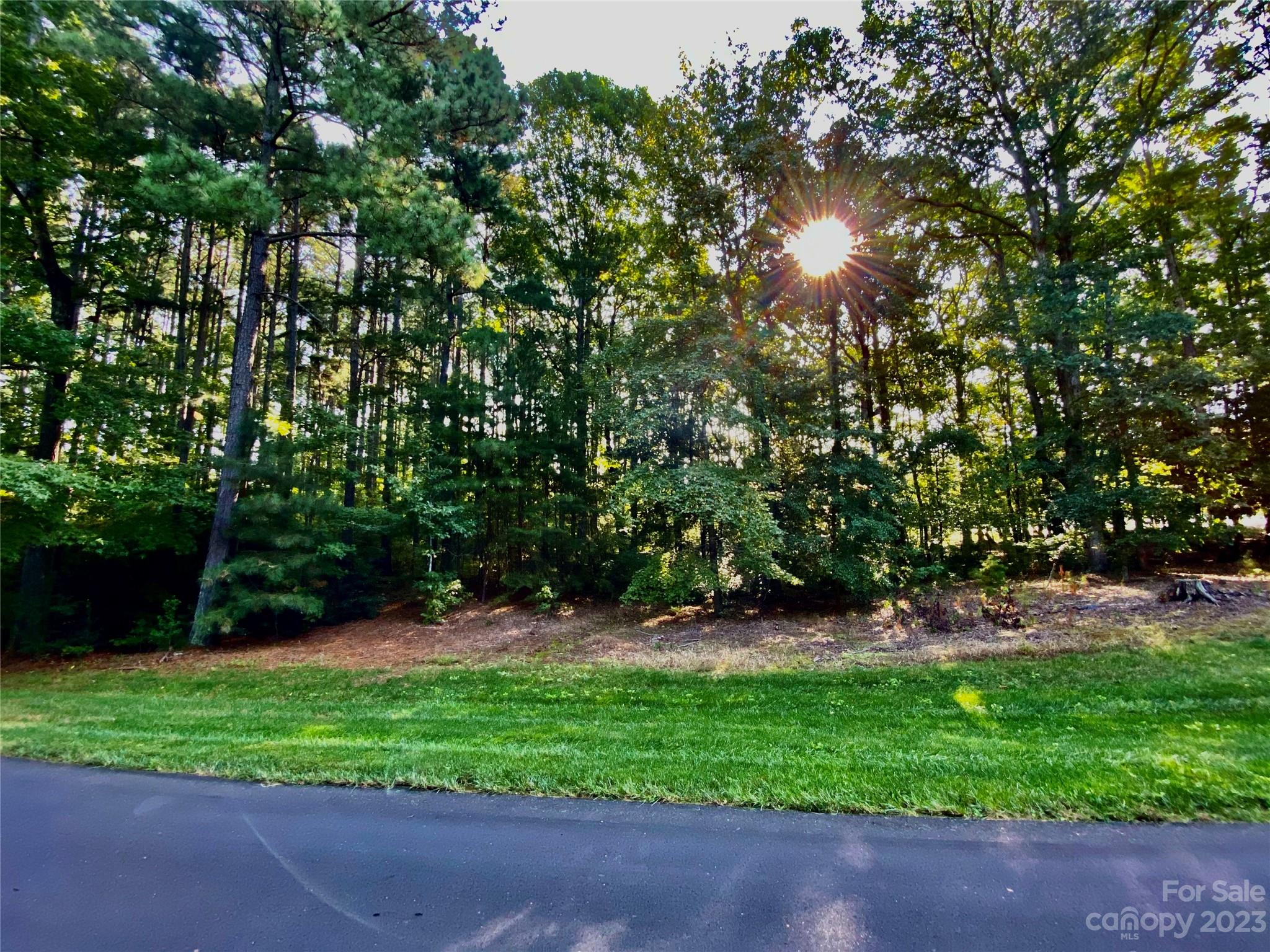 Uwharrie Point - Land