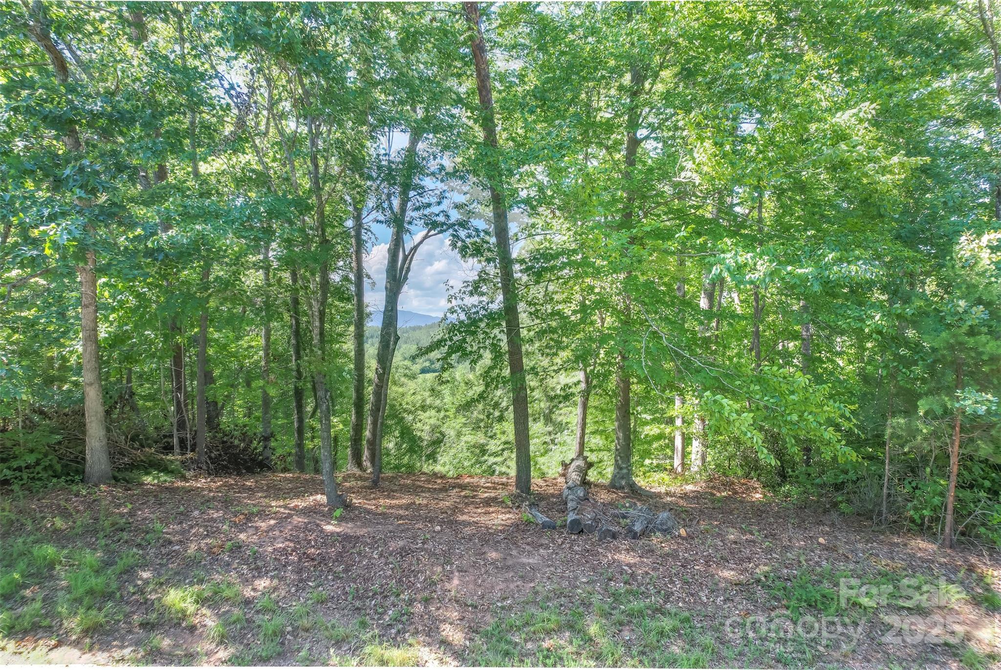 Lot 6 S Cross Creek Trail