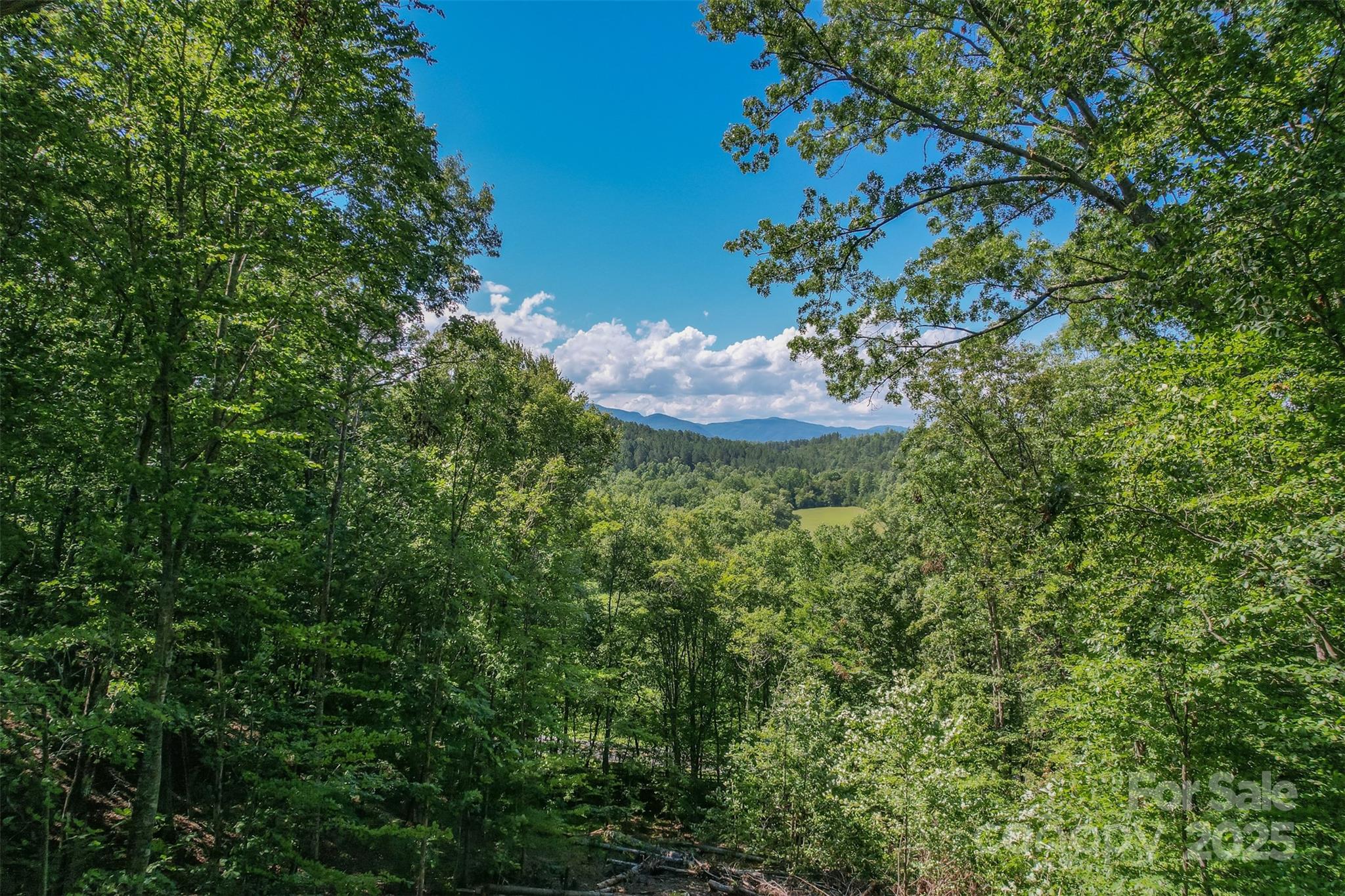Lot 6 S Cross Creek Trail