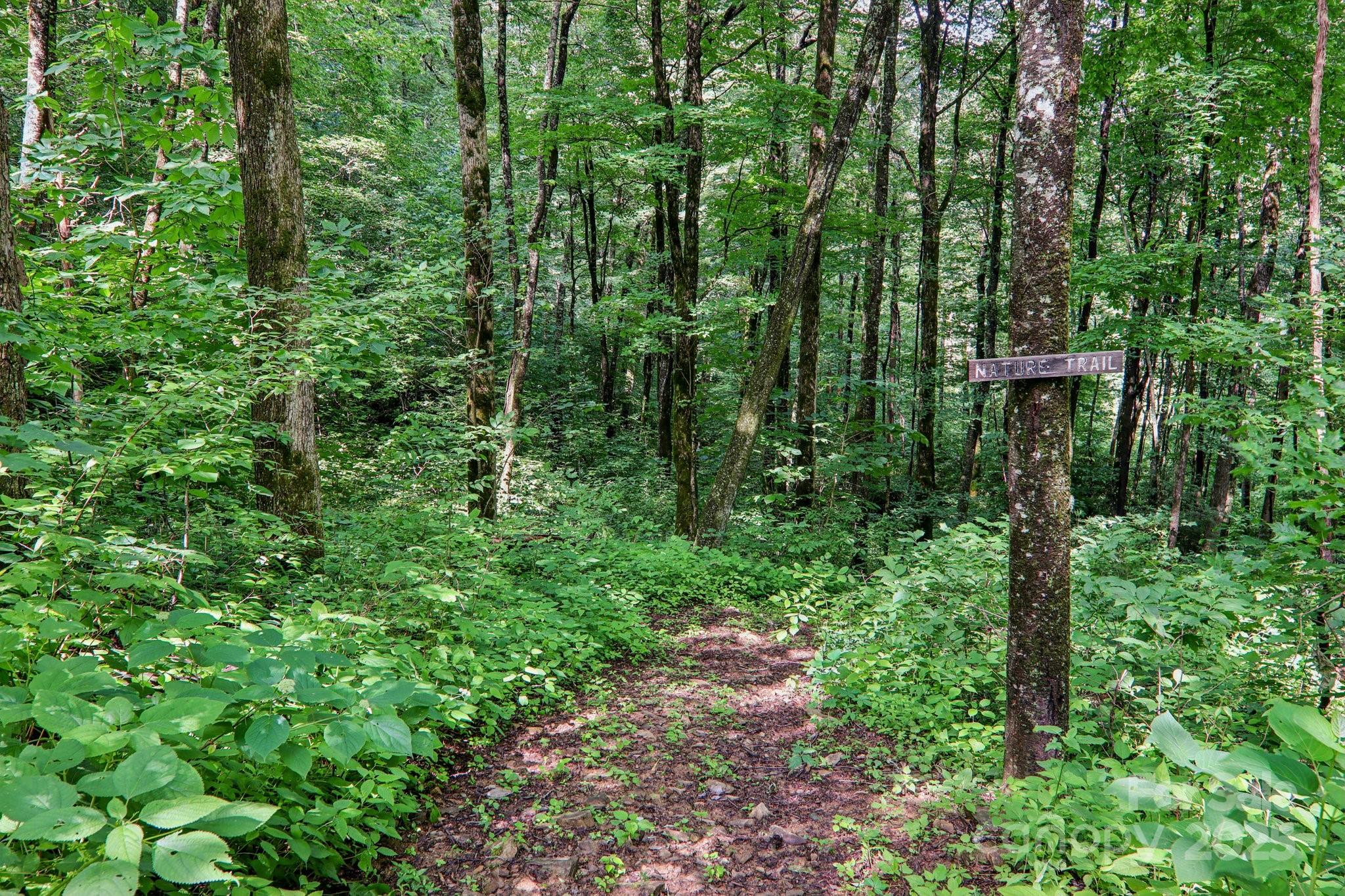 Black Rock - Residential