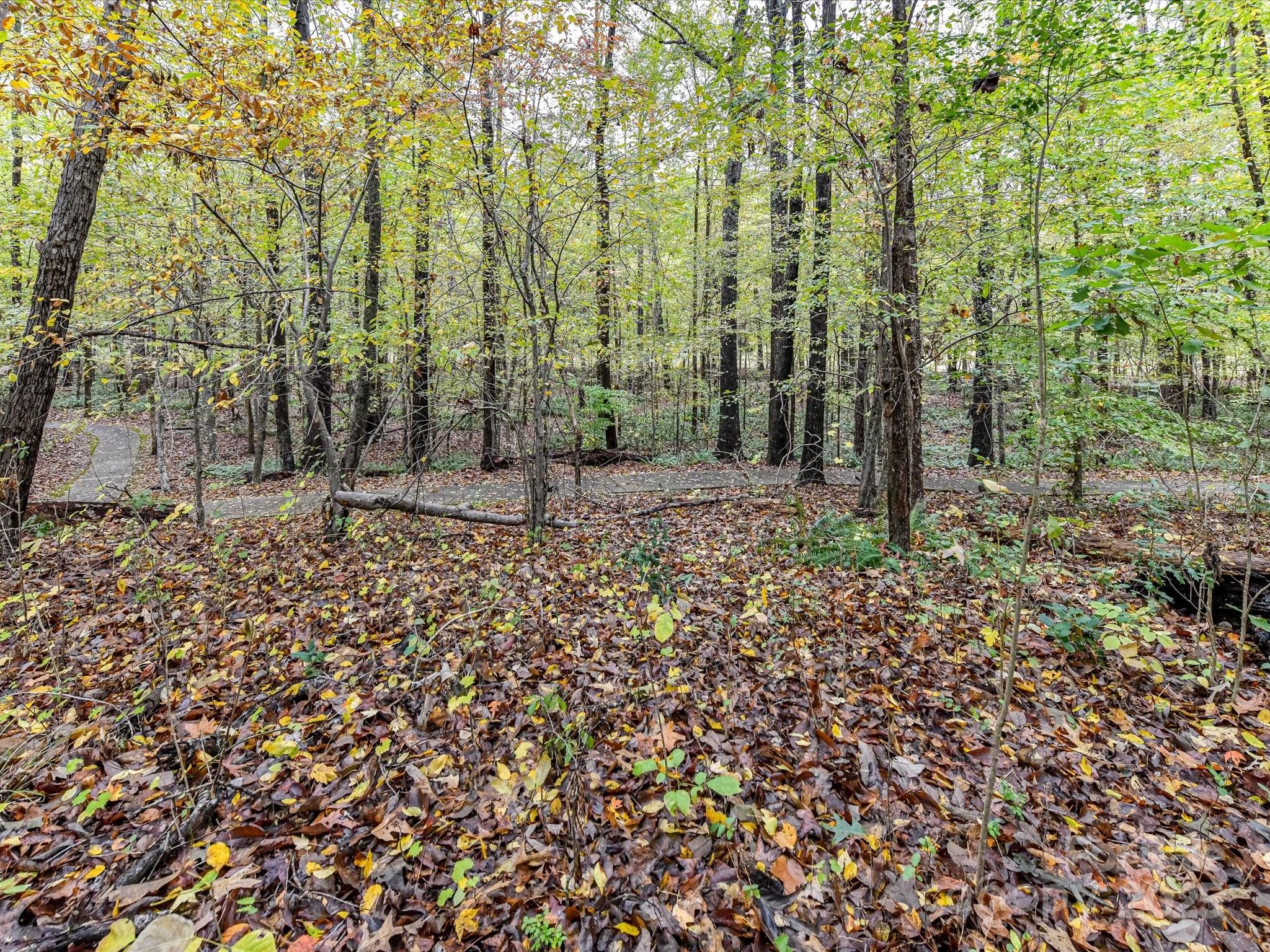 Providence Grove - Residential