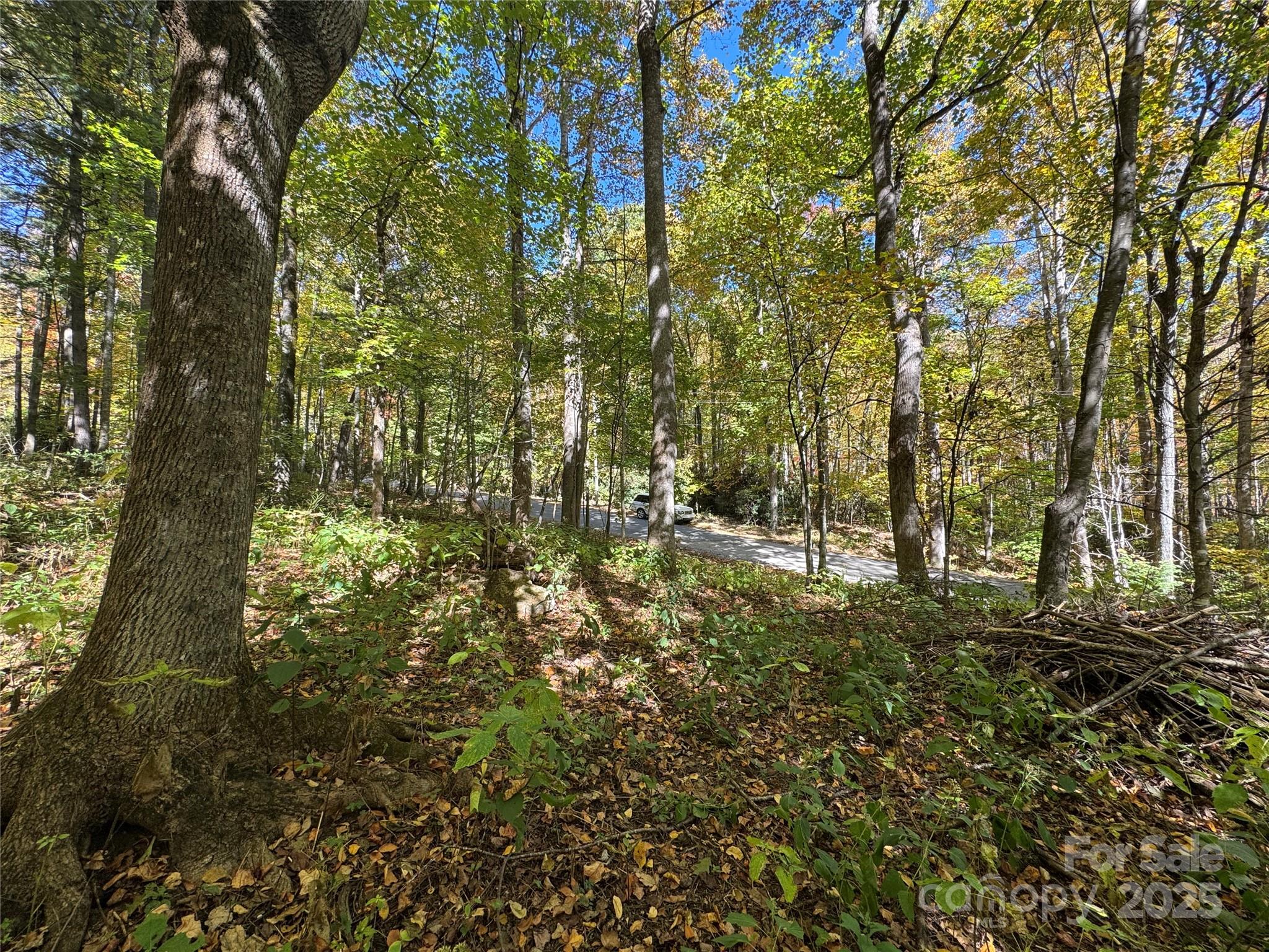 12 Laurel Branch Drive