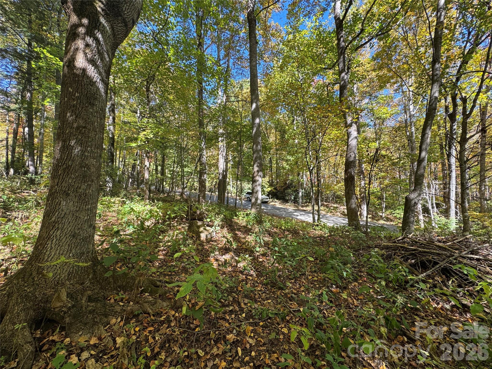 12 Laurel Branch Drive