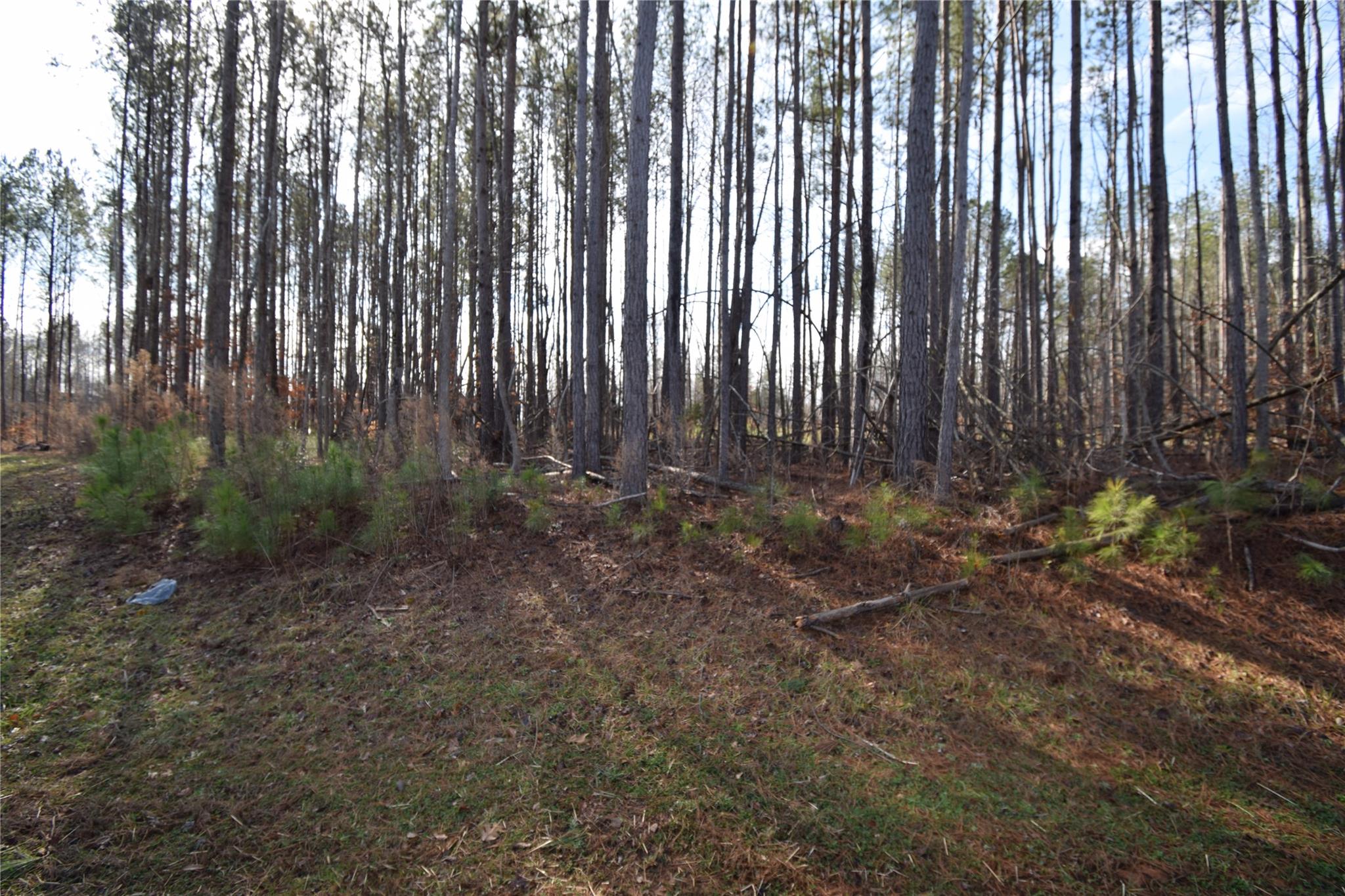 Sanders Landing - Land