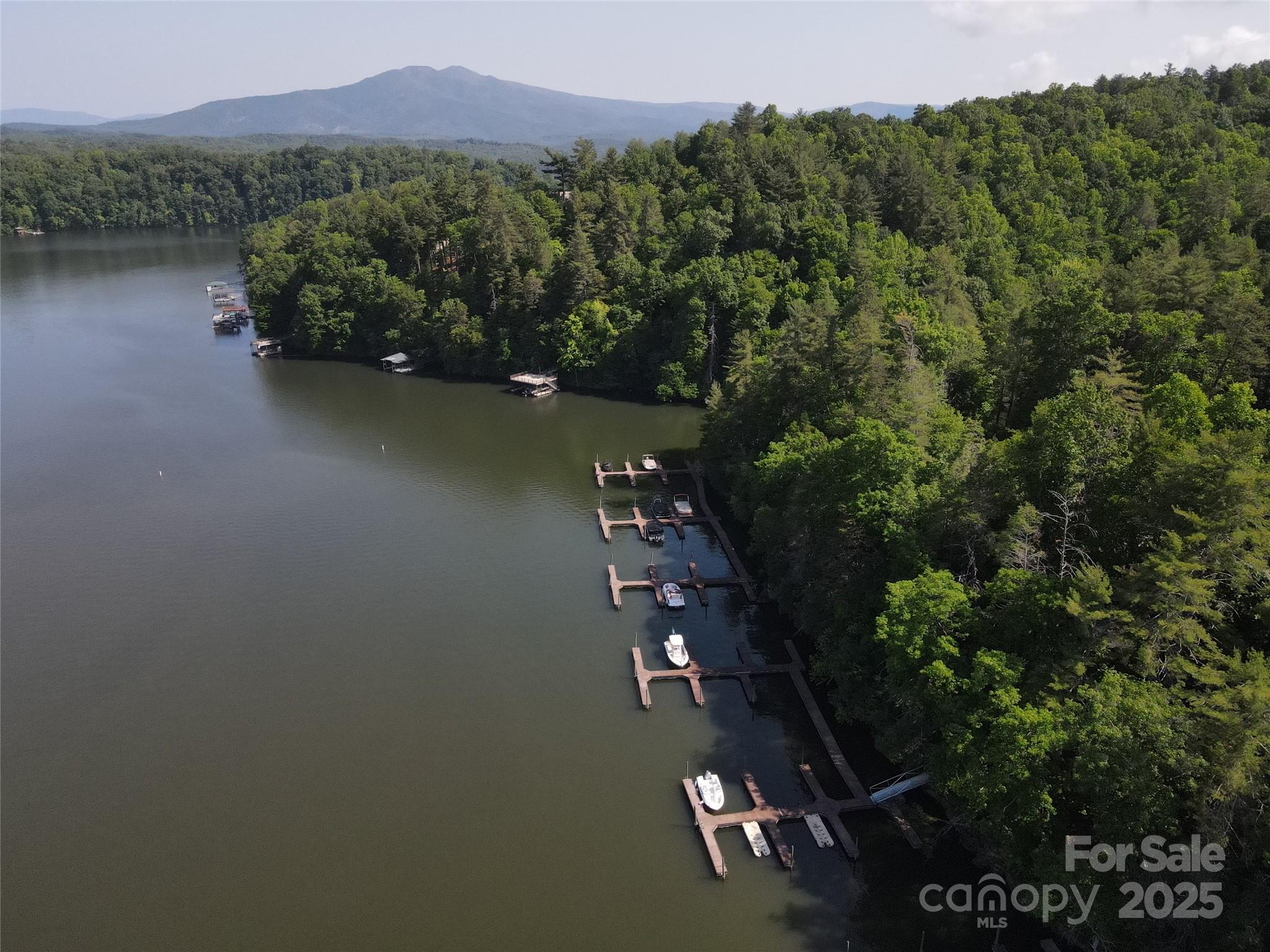 The Arbor at Lake James - Land