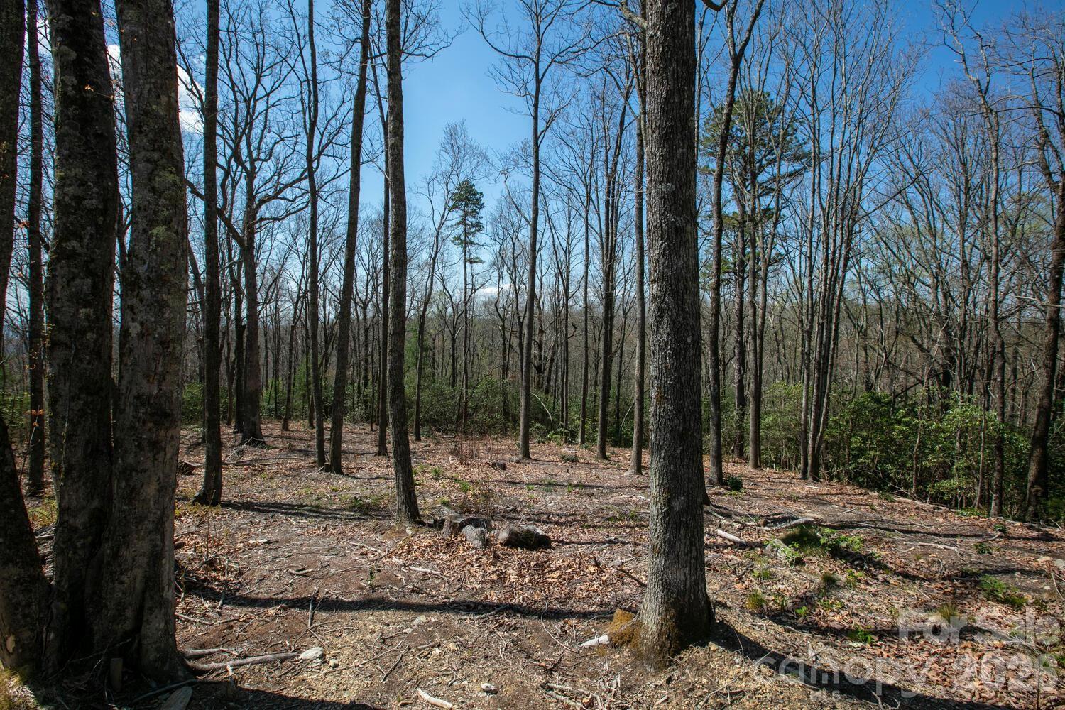 148 Spring Song Lane 6