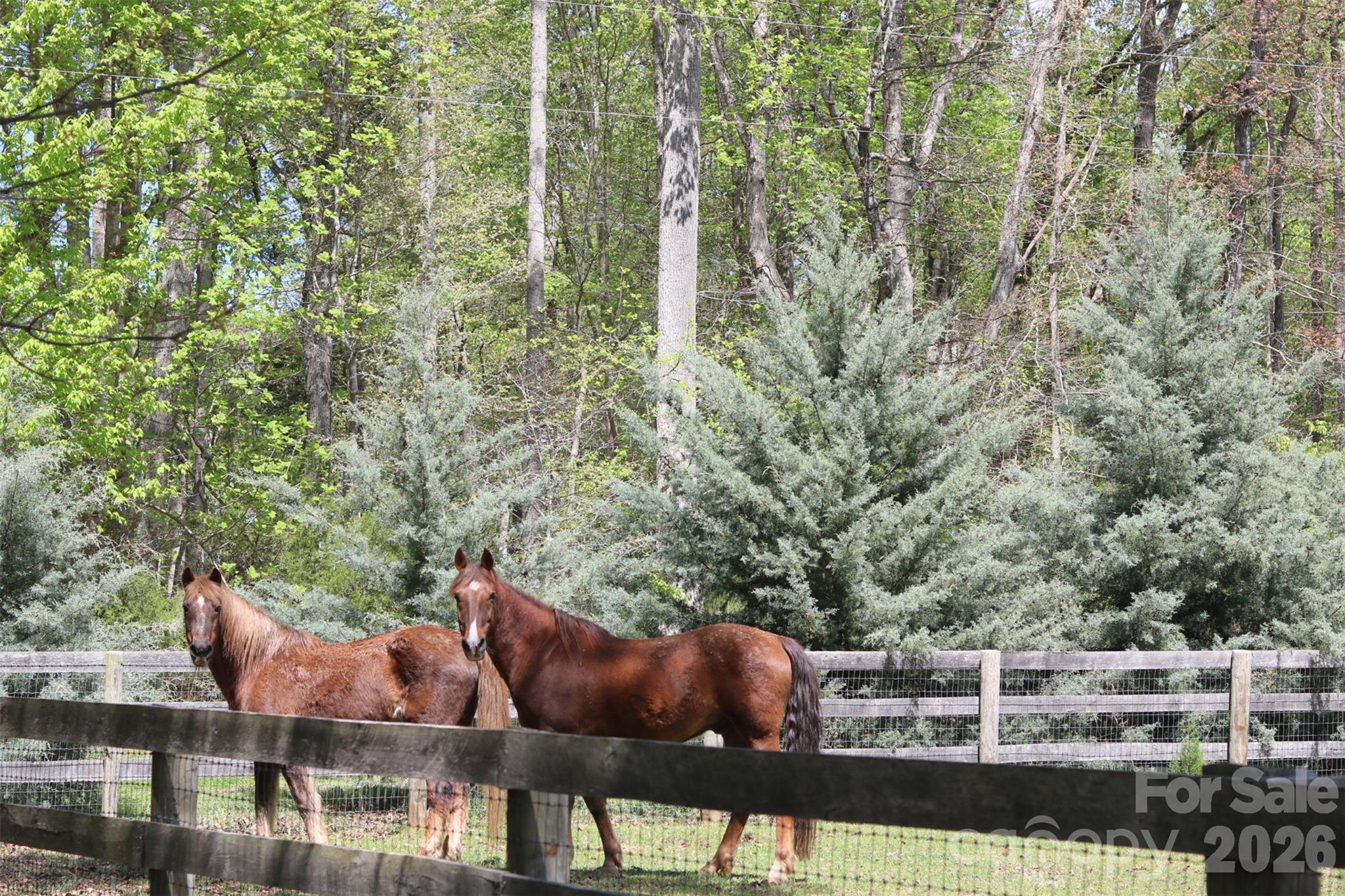 Plantation - Residential