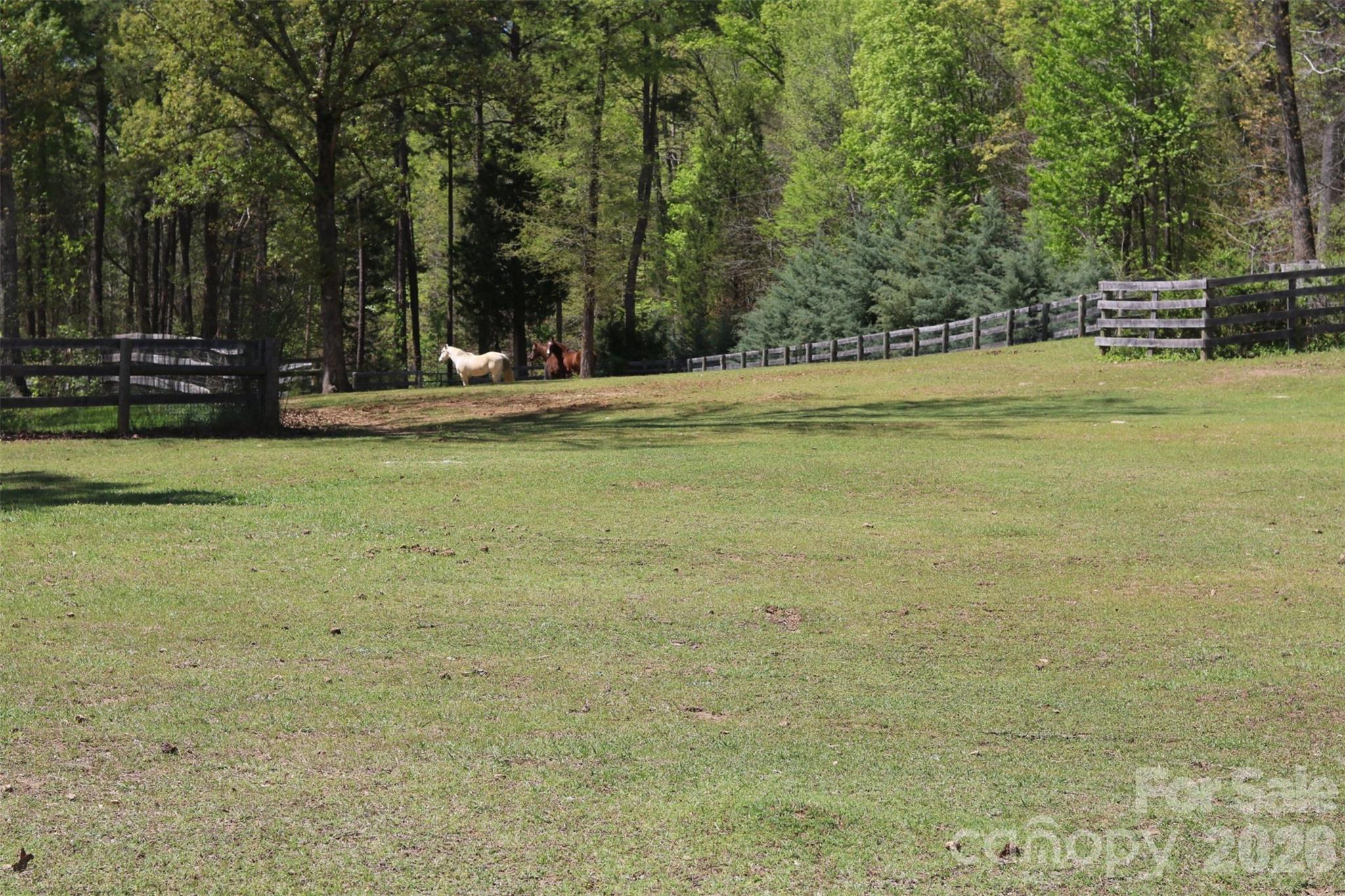 Plantation - Residential