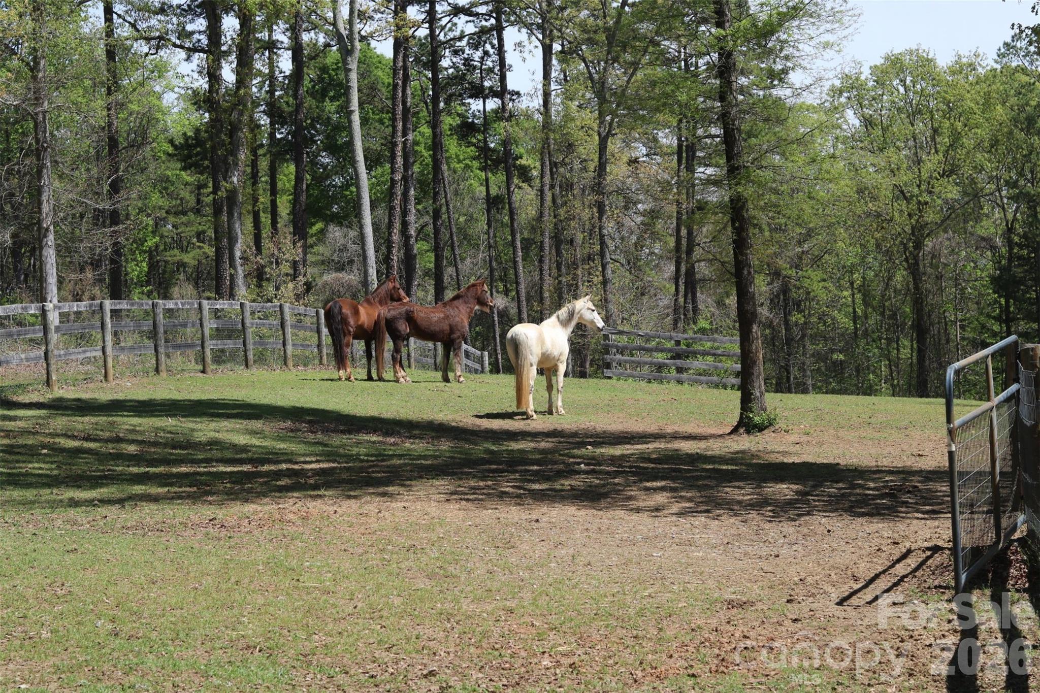 Plantation - Residential