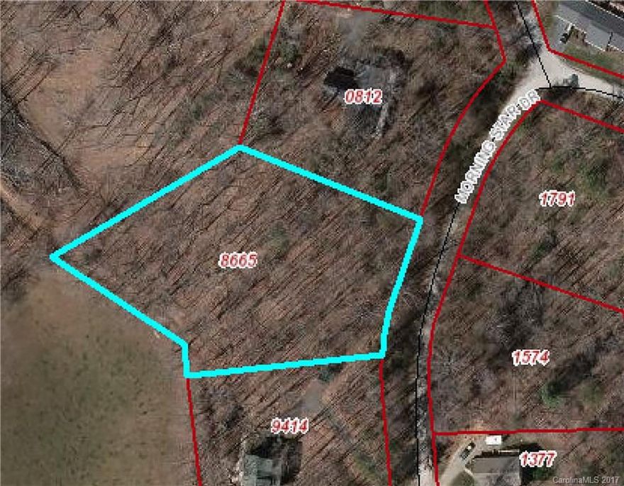 Large lot in quiet & private community less than 20 minutes to downtown Asheville. Great topography for an easy build and tons of potential for amazing views with minimal clearing.  Wooded privacy & convenience less than 2 miles off Leicester Highway.