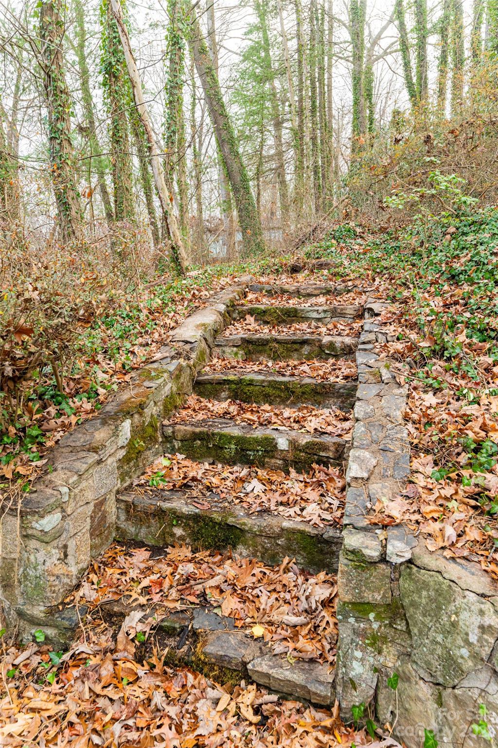 West Asheville - Residential