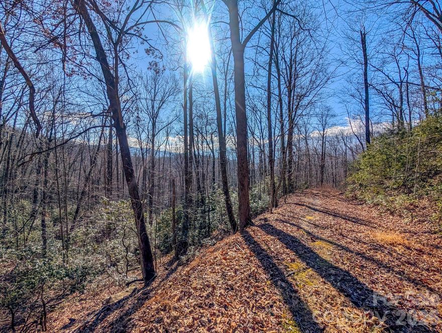 Rare South Toe Opportunity – 26.48 Acres Subdivided into 8 Lots in the Halls Chapel Woods Community.

Discover a unique chance to own 26.48 acres in the highly desirable South Toe area of Burnsville, NC, thoughtfully subdivided into 8 individual lots across 2 parcels with a road already cut in dividing the two parcels. Nestled in the heart of Western North Carolina’s mountains, near Mt. Mitchell, this property offers the perfect blend of privacy, natural beauty, and development potential.
Rolling terrain, wooded acreage, and long-range mountain surroundings create an ideal setting for multiple homesites or a private estate. Each lot offers its own character, with amazing views, ample space for homes, gardens, and outdoor living while maintaining a sense of seclusion.
Located just minutes from downtown Burnsville, the Toe River, Mount Mitchell, hiking trails, and the Blue Ridge Parkway, this property provides easy access to outdoor recreation while still being convenient to town amenities.
Whether you’re a builder, investor, or buyer seeking a legacy mountain property, this subdivided acreage presents endless possibilities in one of Yancey County’s most sought-after areas.