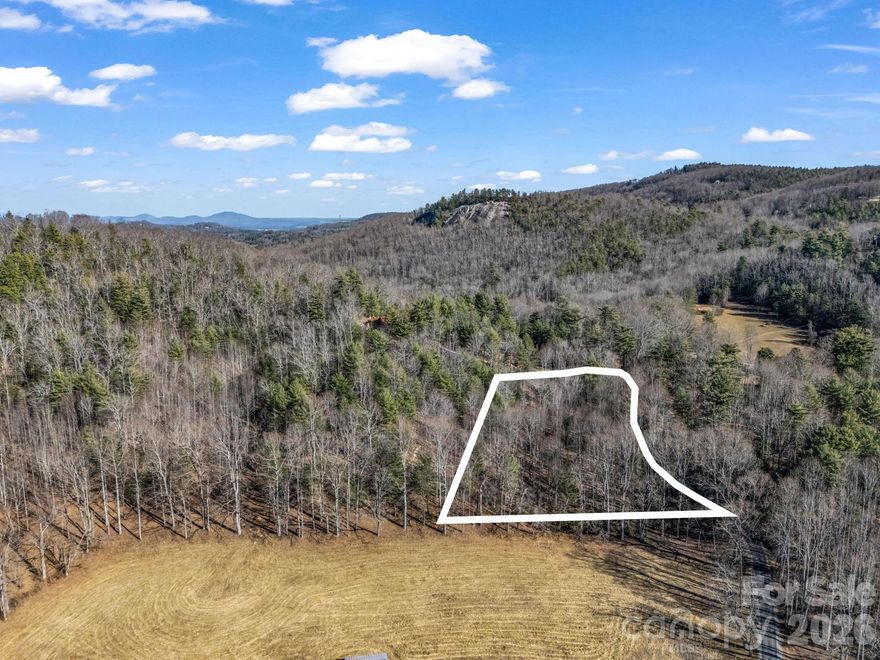 Beautiful lot that offers plenty of privacy and potential long range views.  Come build your dream home or homes on this beautiful lot! New survey reflects 2.1 acres - surveyor is finalizing the plat.  Two additional lots available for a total of 4.95 acres.  Expired septic permits and site plans available for 3 bedroom home.  County would need to reevaluate site plan and septic application will be necessary.