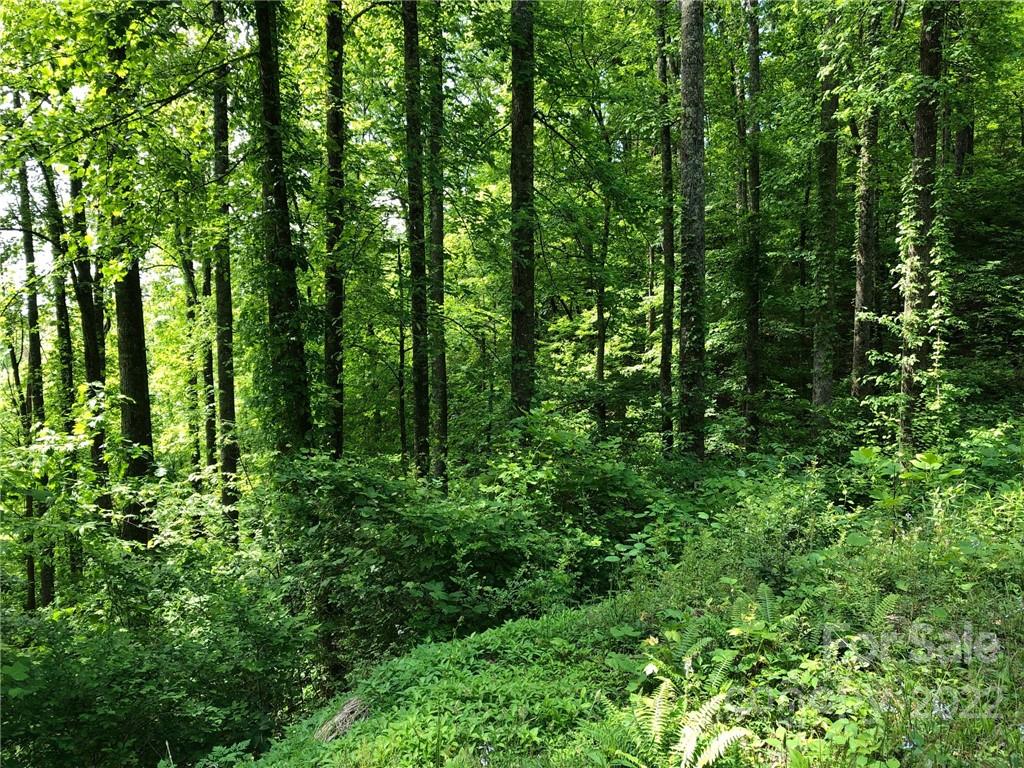 Lot #35 Laurel Creek Drive