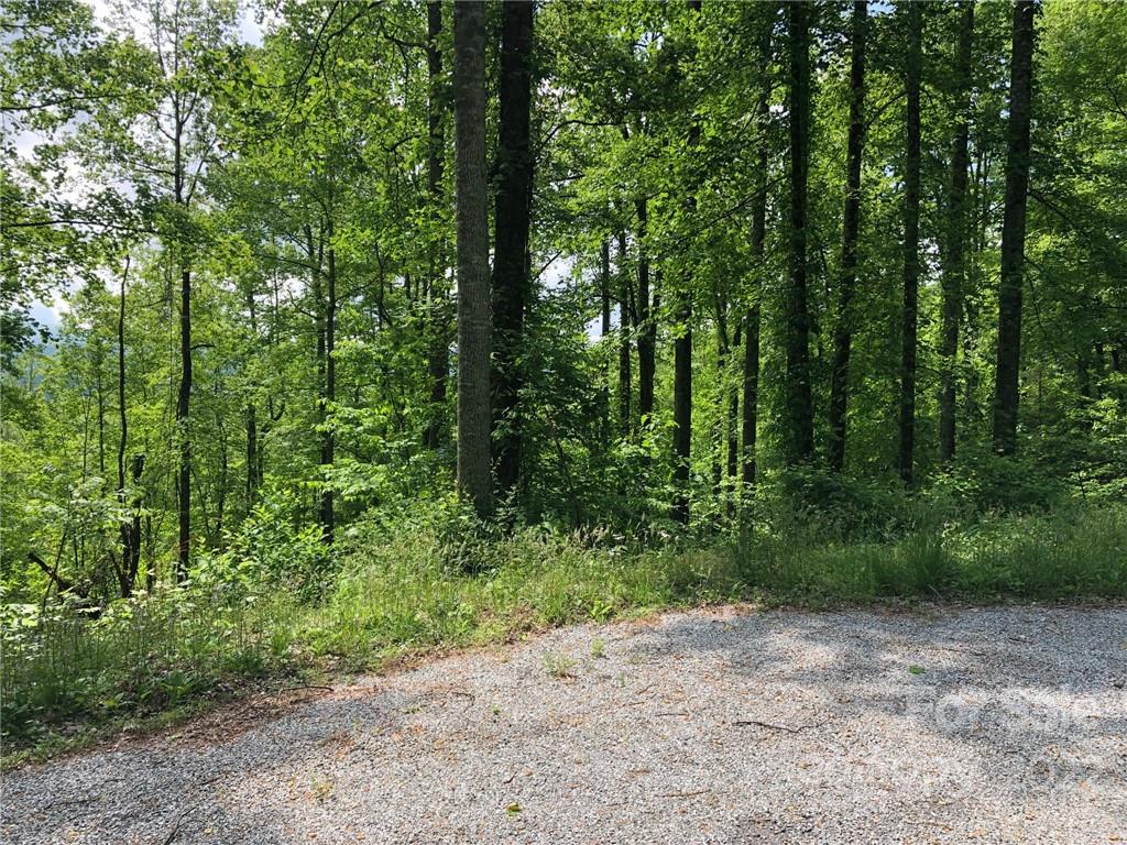 Lot #35 Laurel Creek Drive