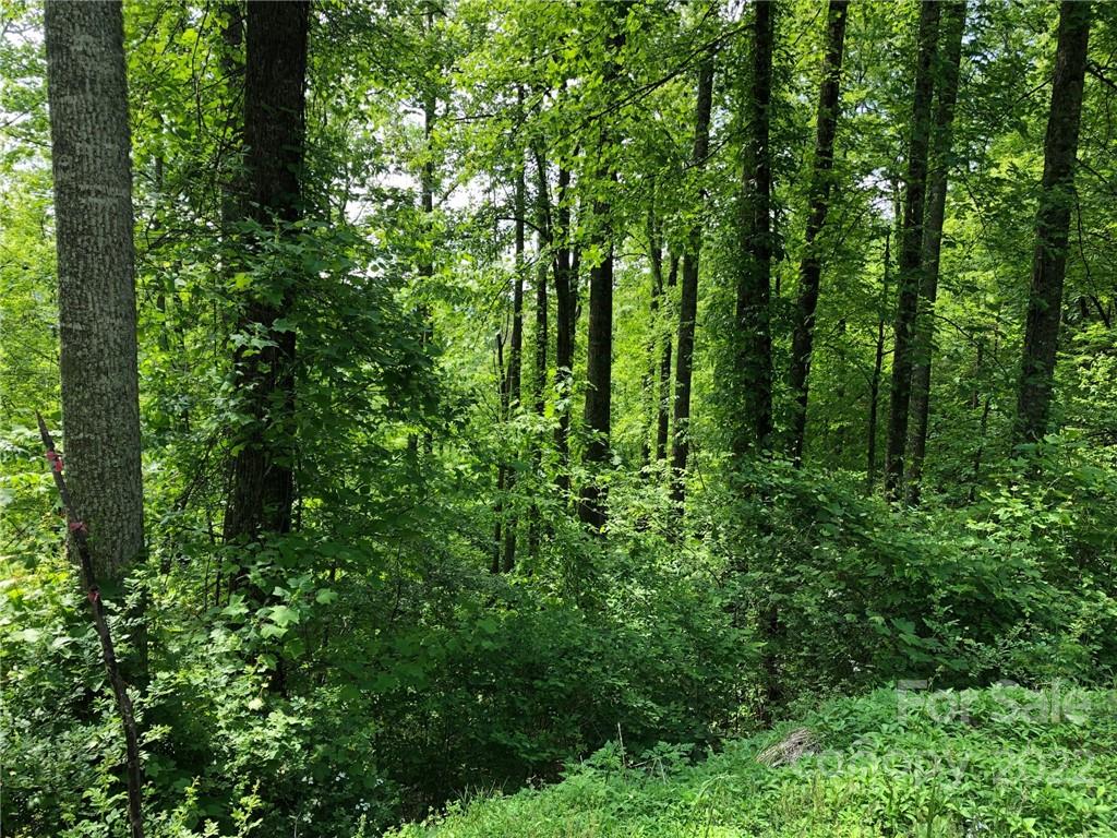 Lot #35 Laurel Creek Drive