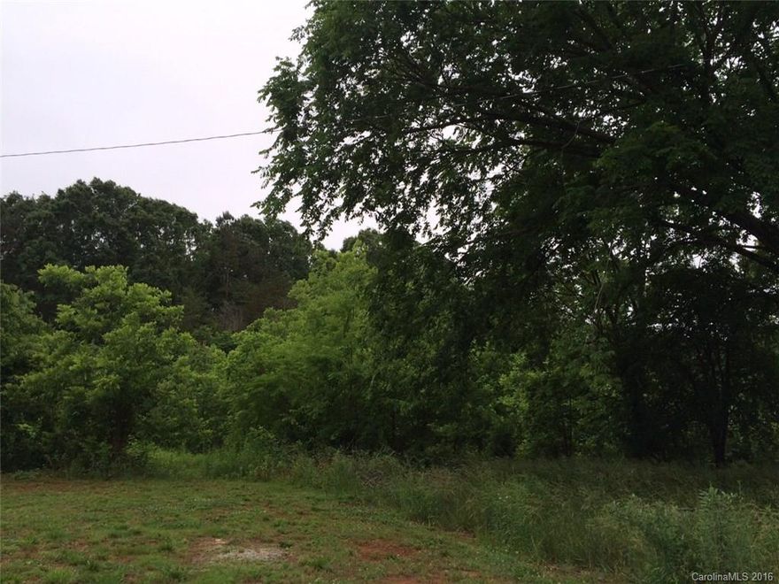 Enjoy country living on this quiet flag lot set back 175' from the main road.  Lots of trees and peaceful serenity!  Bring your own plans and builder or work with New Life Developers to build for you.  Priced below tax value!