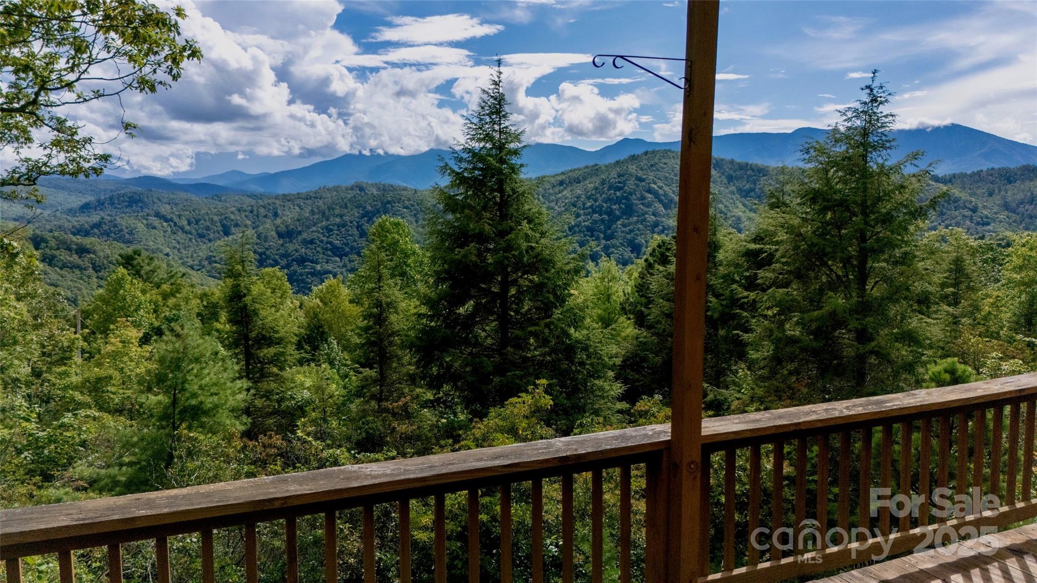 807 Pine Tree Road