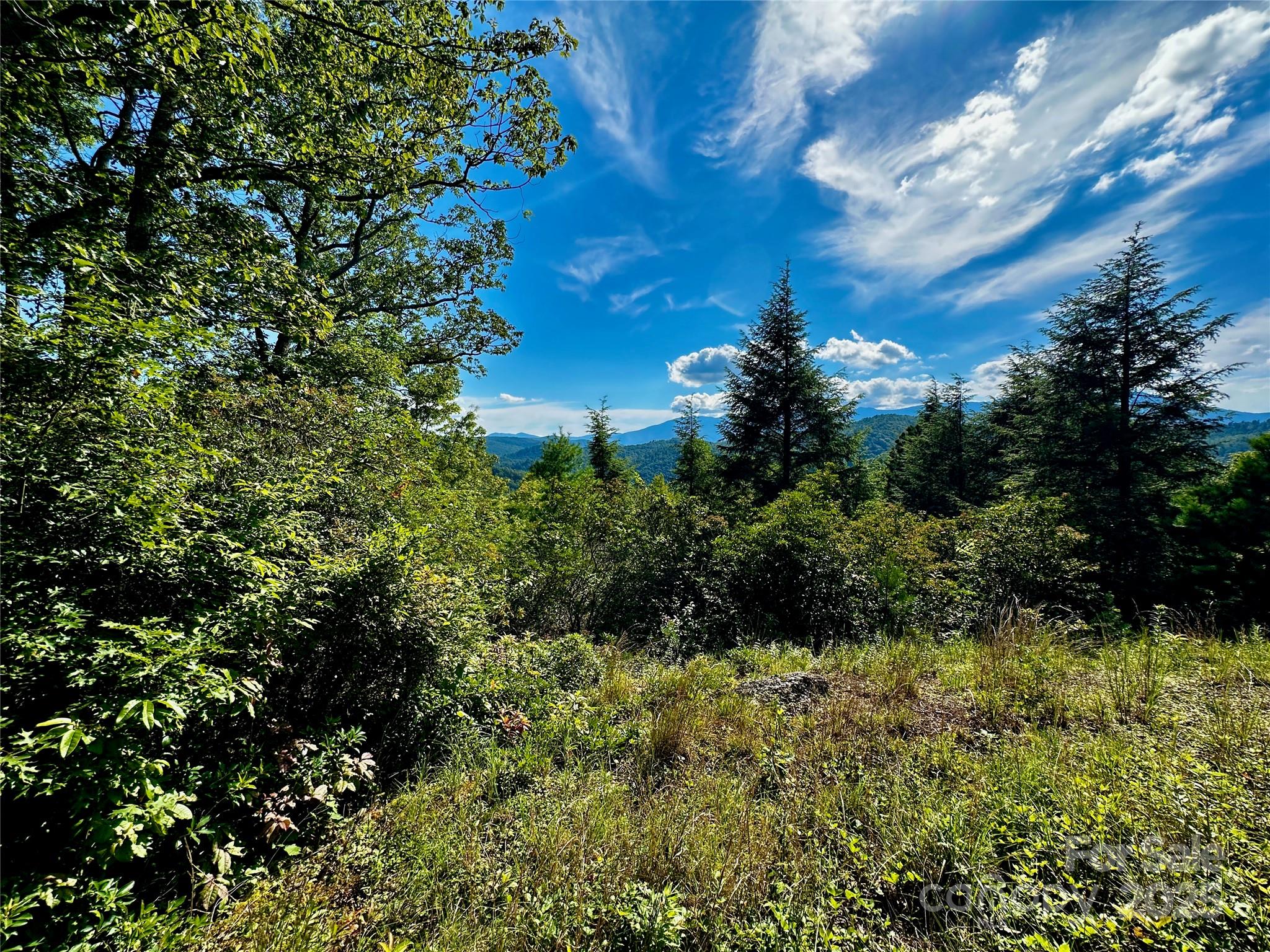 Alpine Mountain - Residential