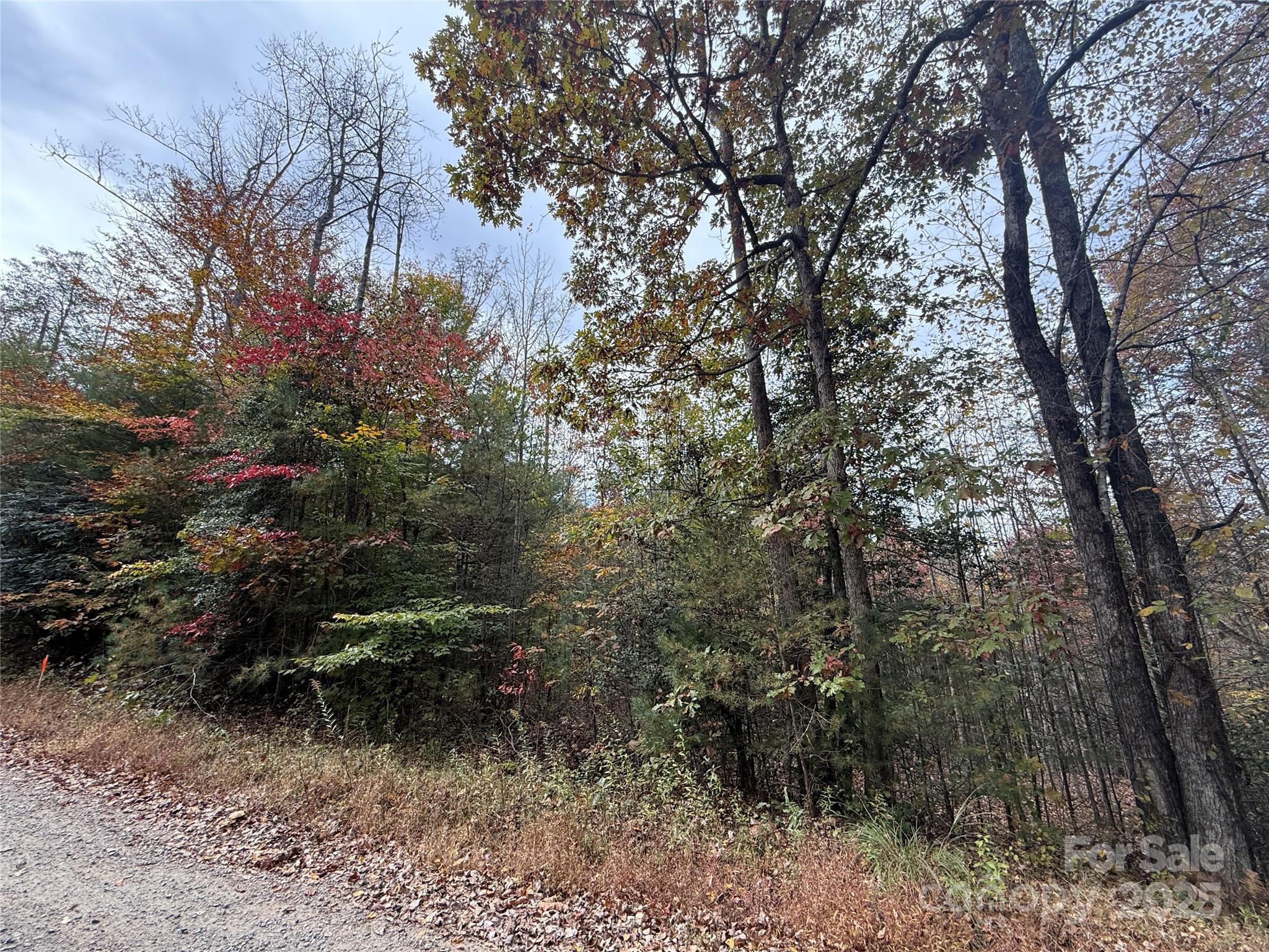 MASTERPIECE MEADOWS - Land