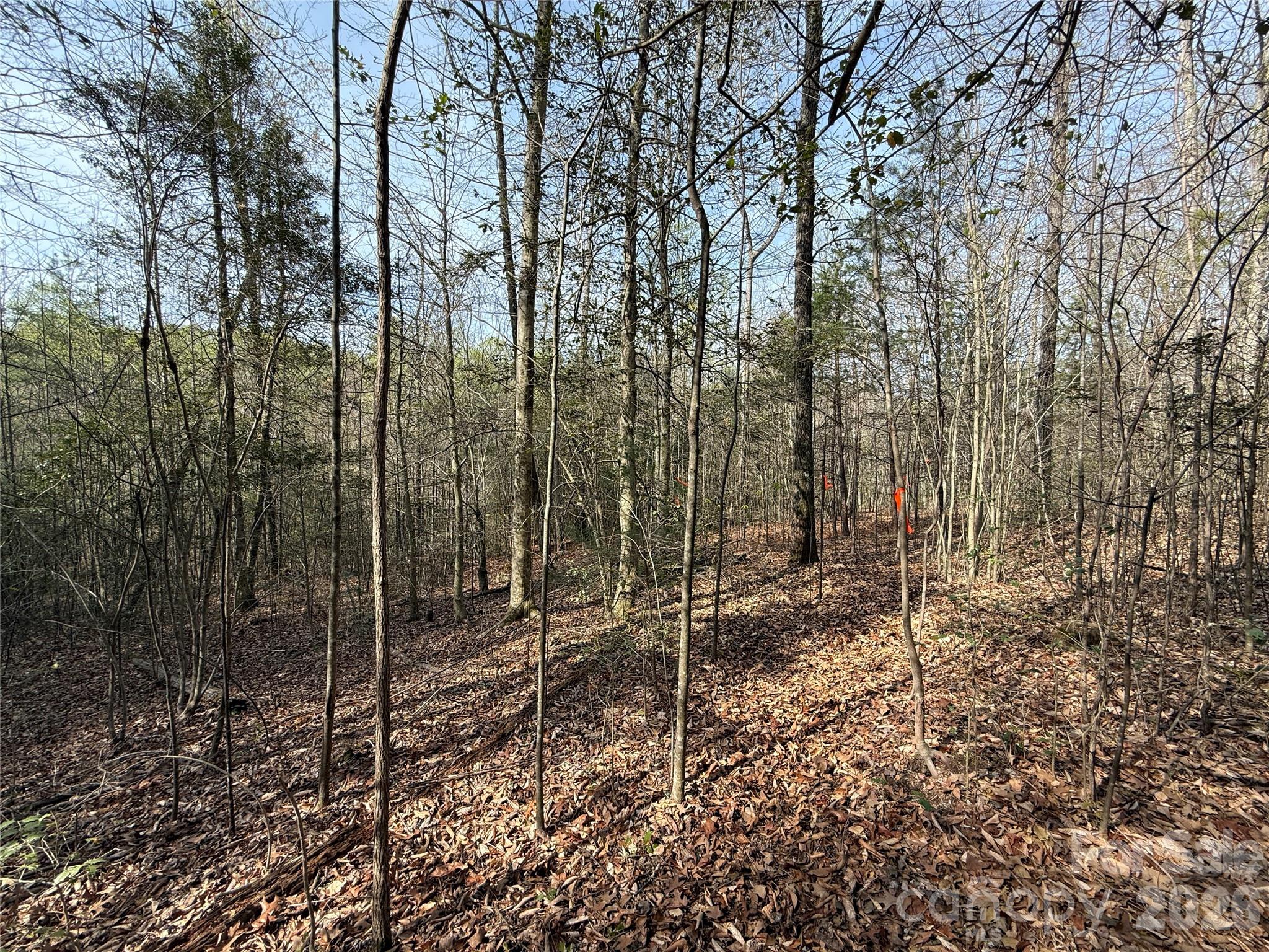 MASTERPIECE MEADOWS - Land