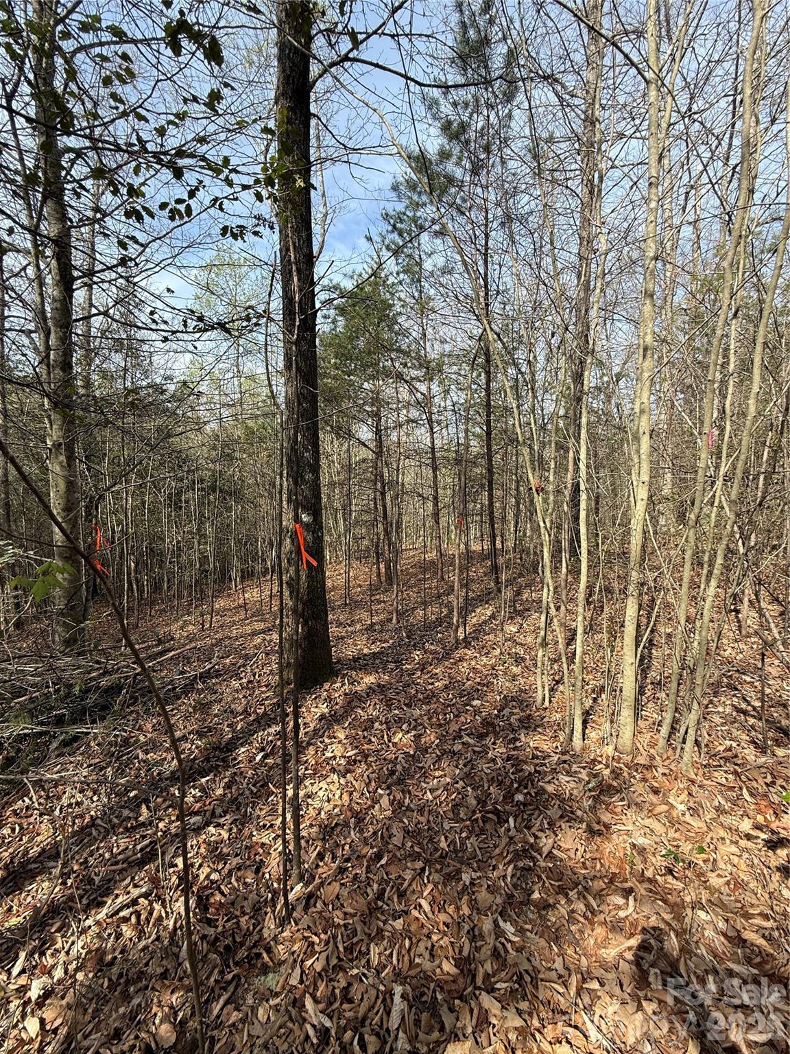 MASTERPIECE MEADOWS - Land