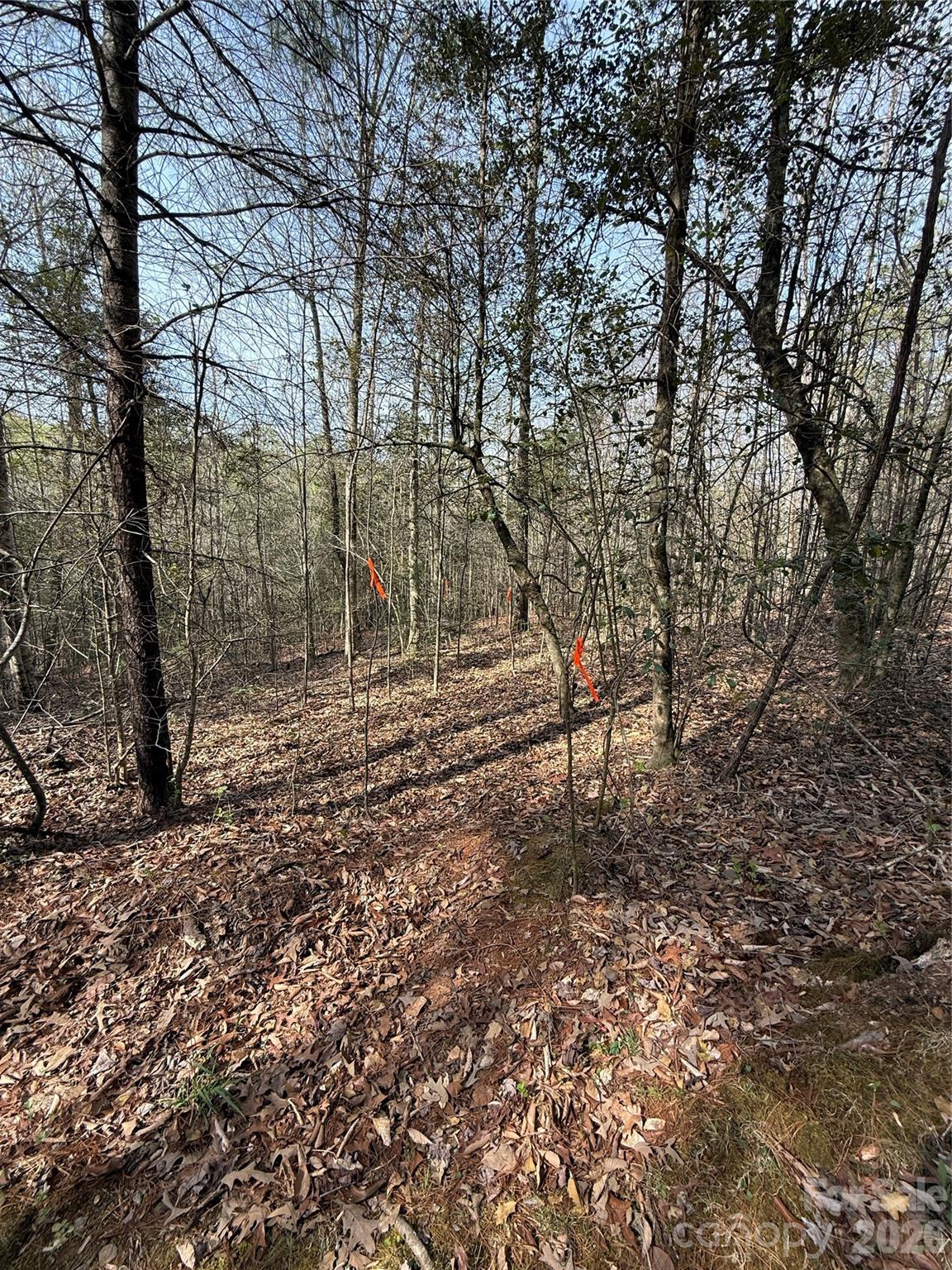 MASTERPIECE MEADOWS - Land