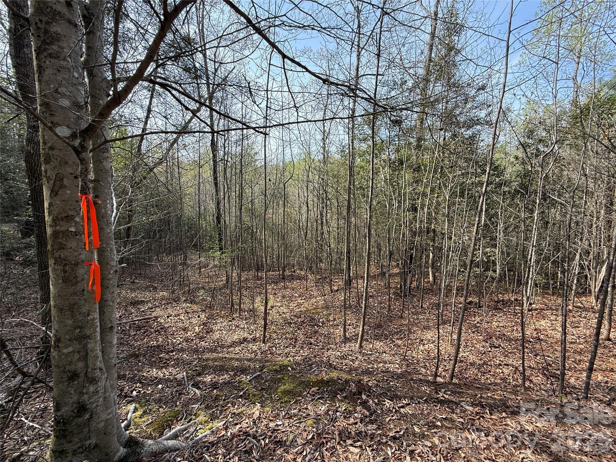 MASTERPIECE MEADOWS - Land