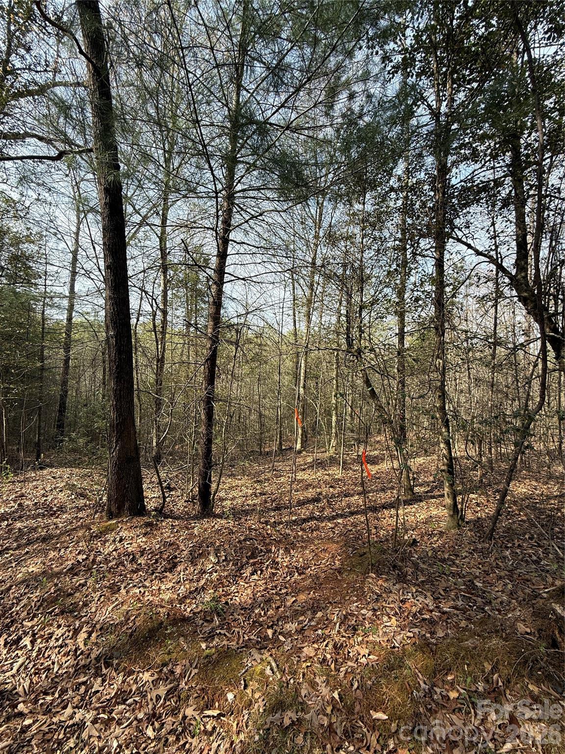 MASTERPIECE MEADOWS - Land