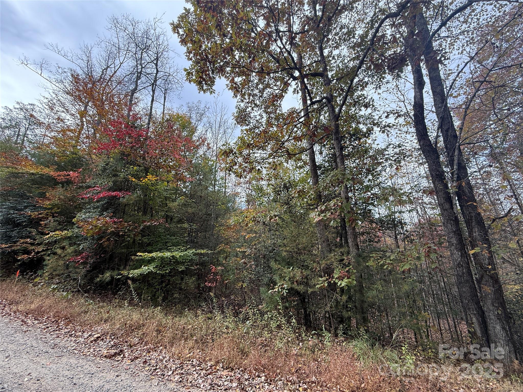 MASTERPIECE MEADOWS - Land