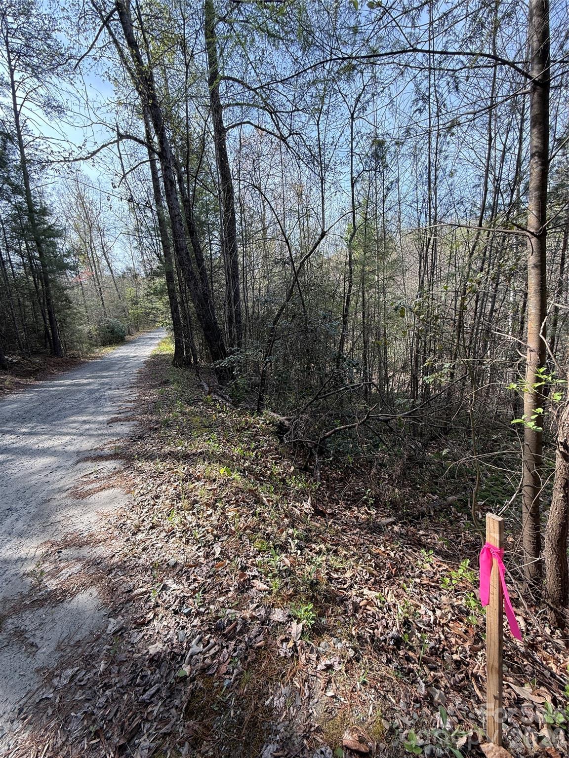 MASTERPIECE MEADOWS - Land