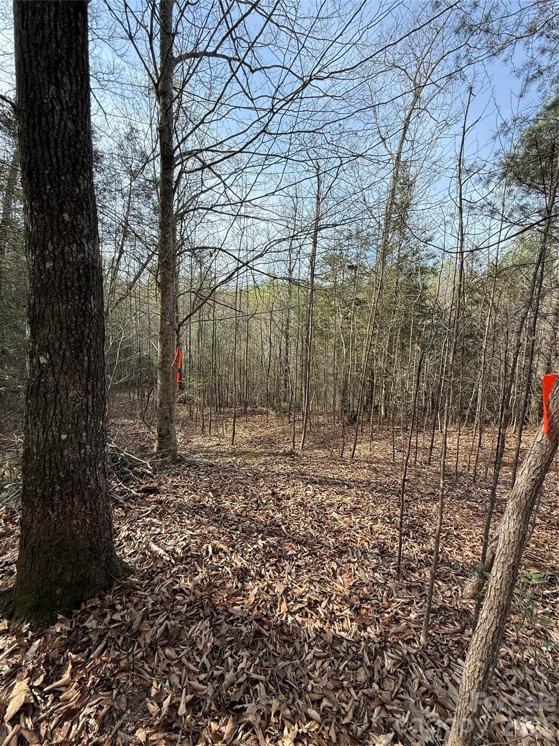 MASTERPIECE MEADOWS - Land