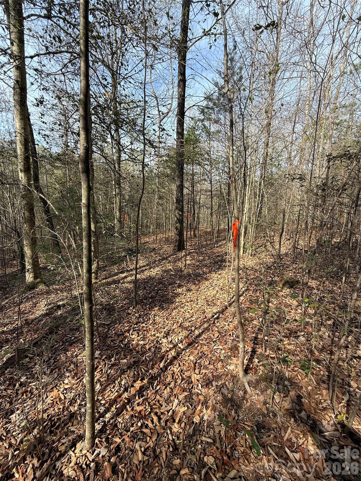 MASTERPIECE MEADOWS - Land