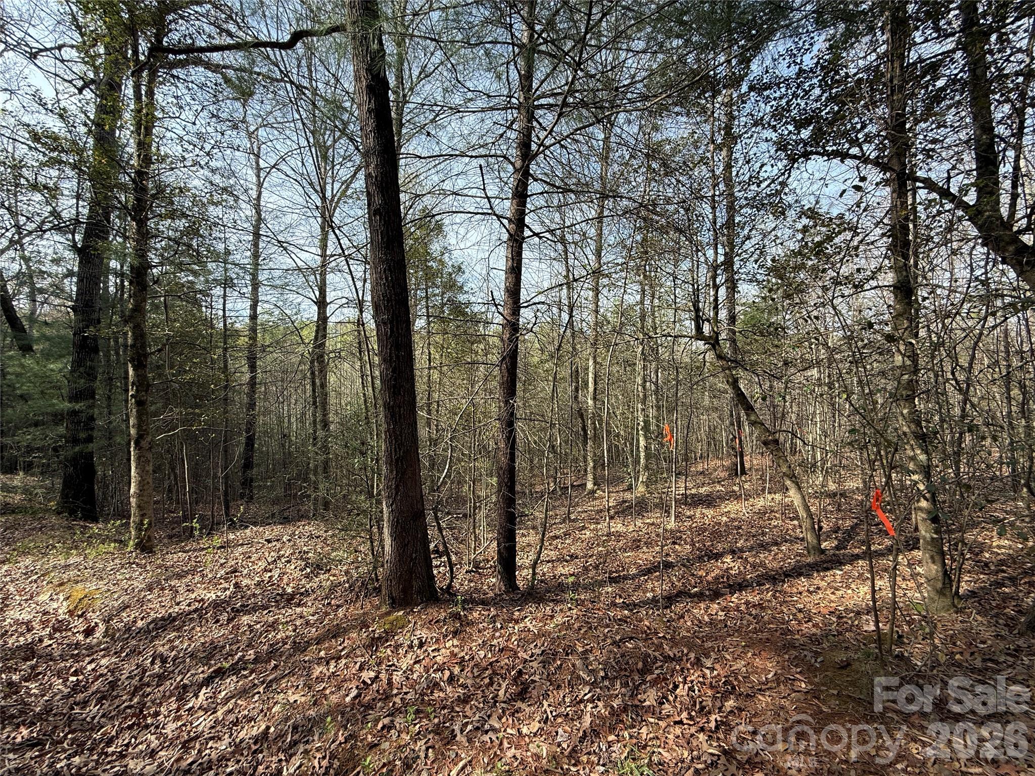 MASTERPIECE MEADOWS - Land