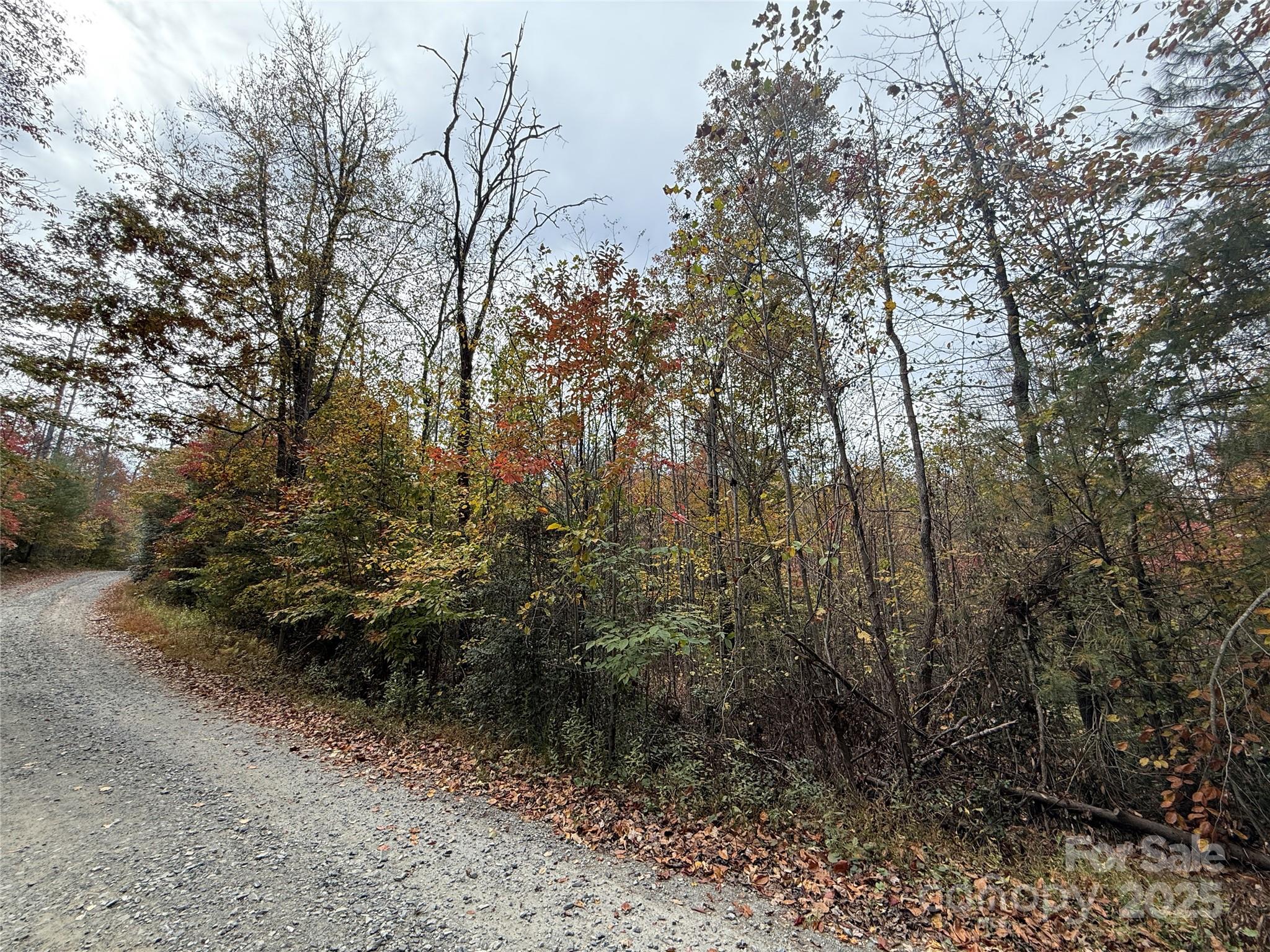 MASTERPIECE MEADOWS - Land