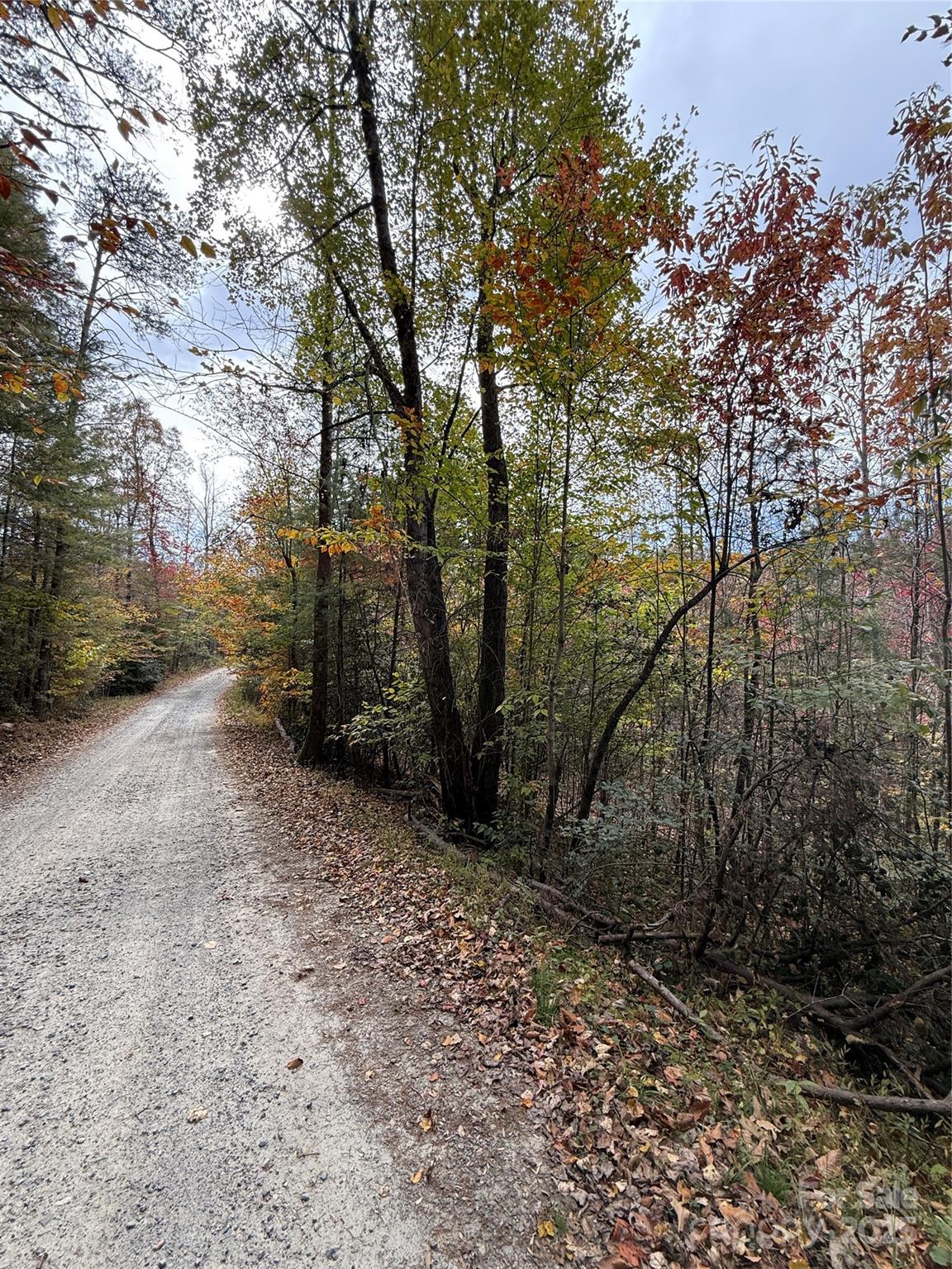 MASTERPIECE MEADOWS - Land