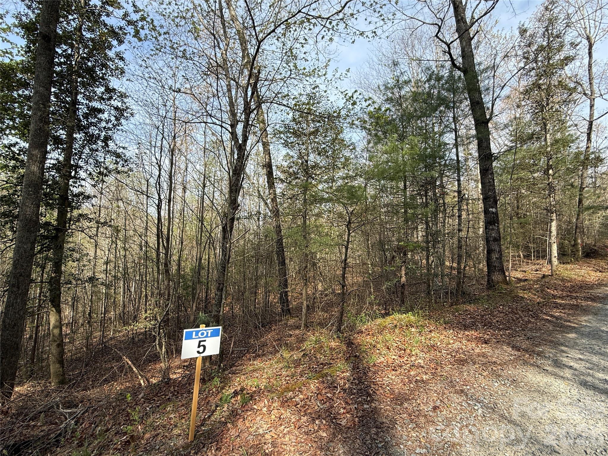 MASTERPIECE MEADOWS - Land