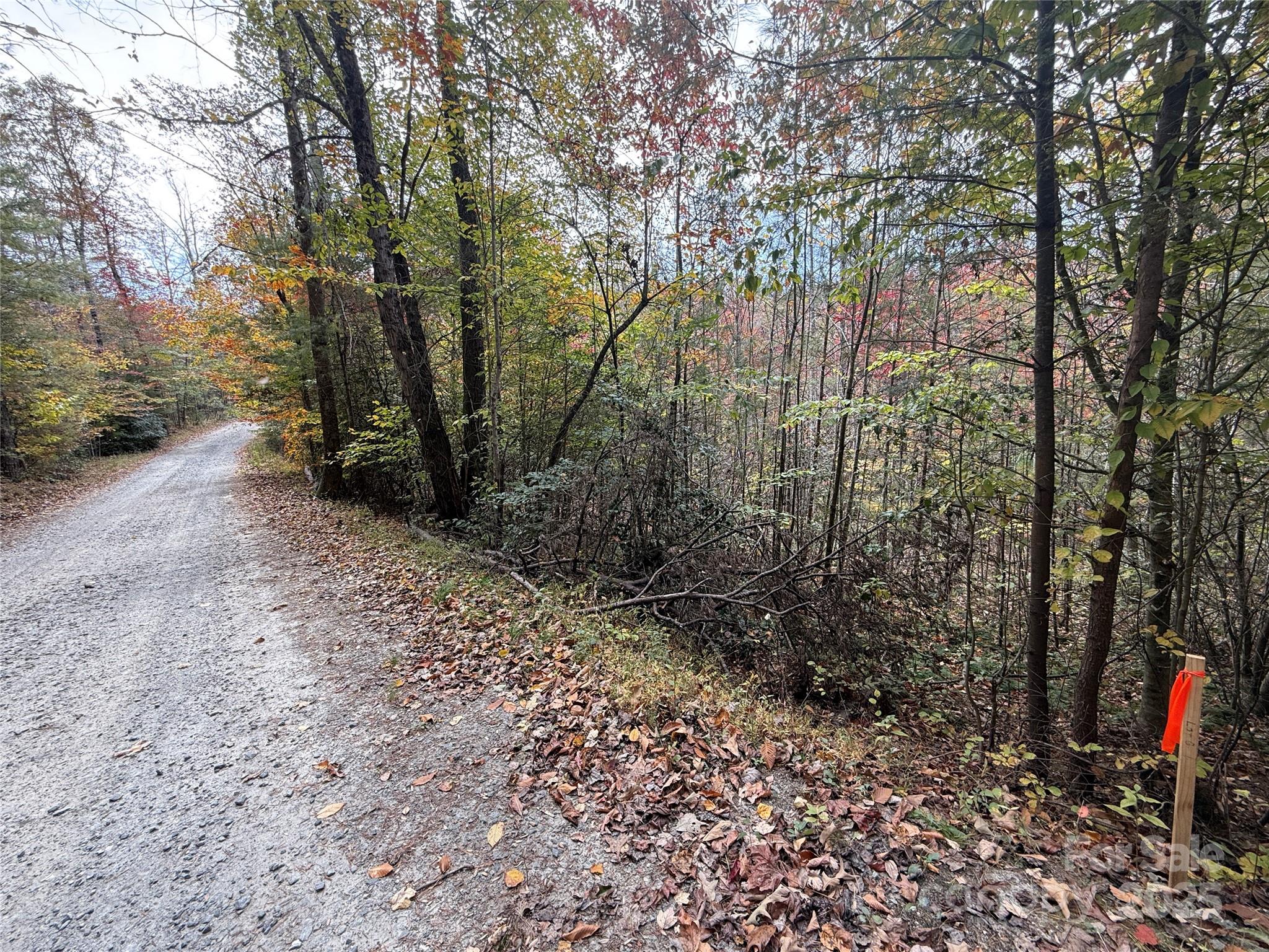 MASTERPIECE MEADOWS - Land