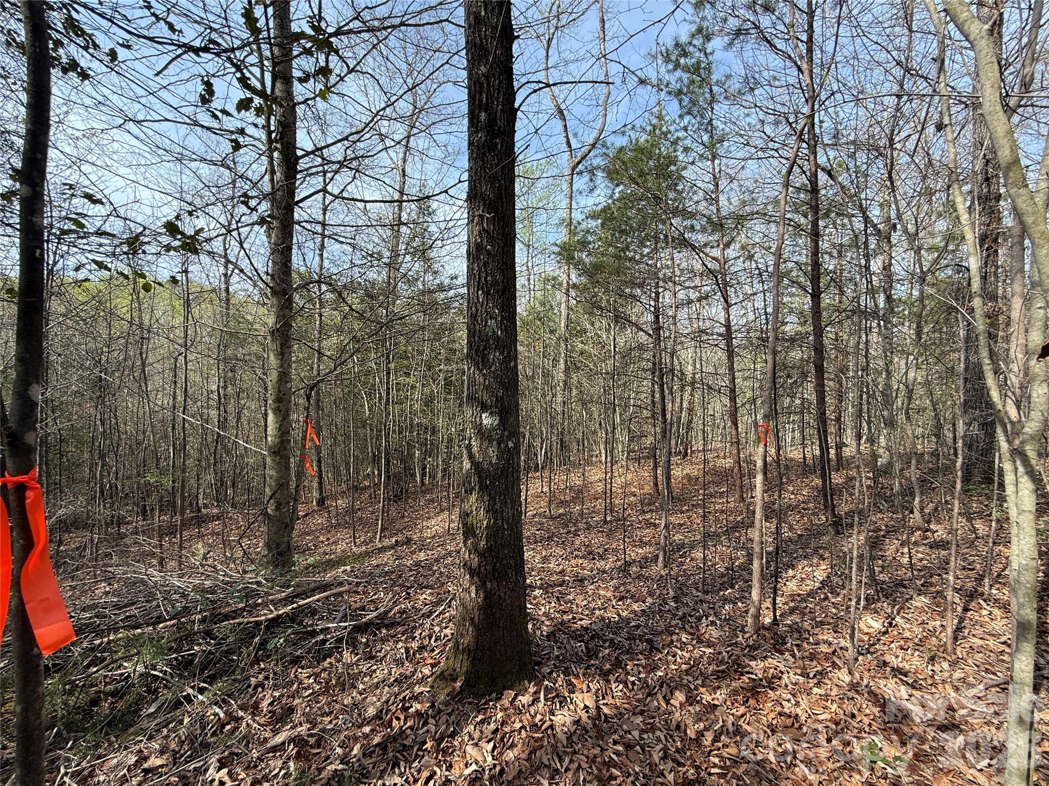 MASTERPIECE MEADOWS - Land