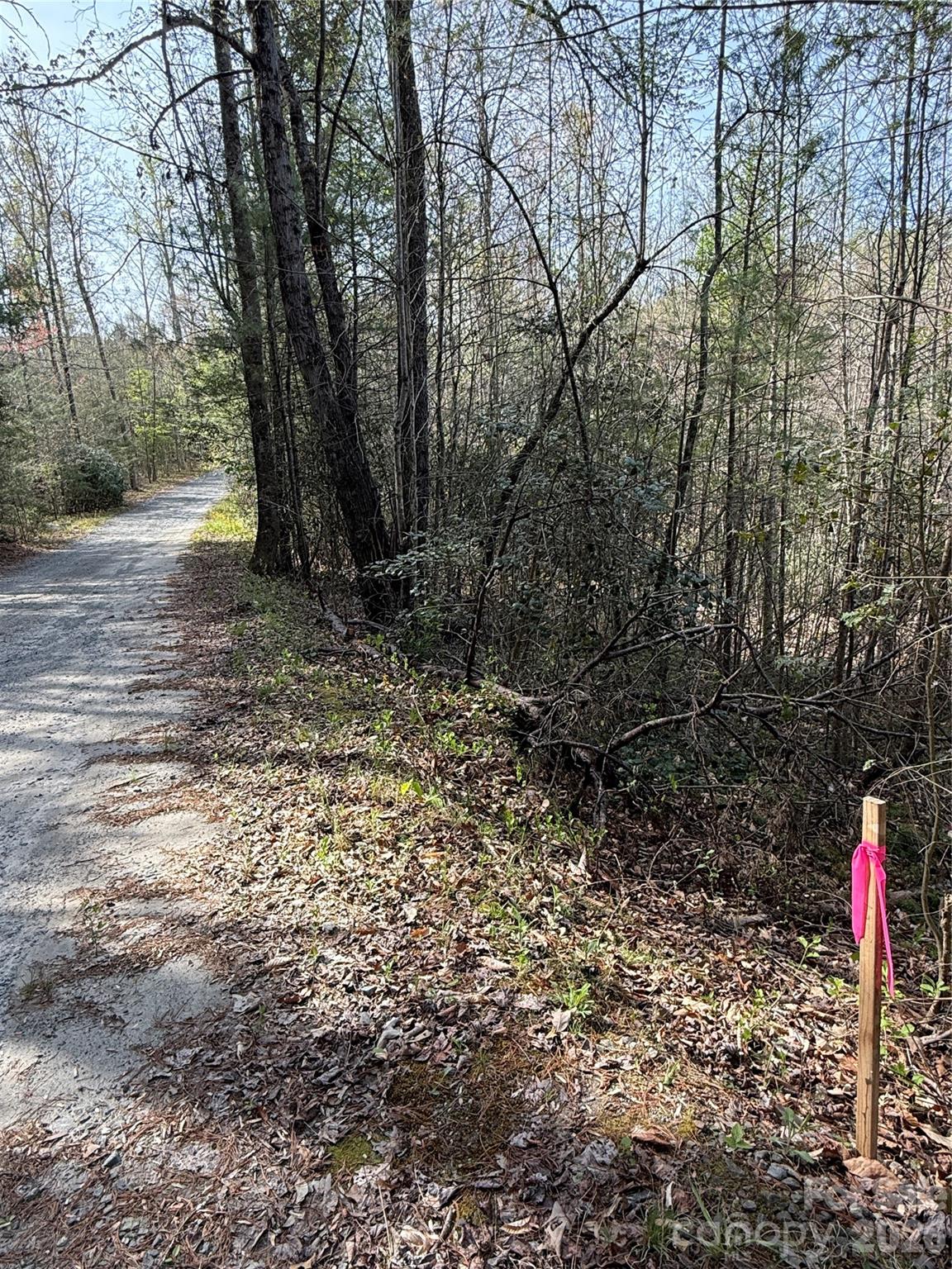 MASTERPIECE MEADOWS - Land