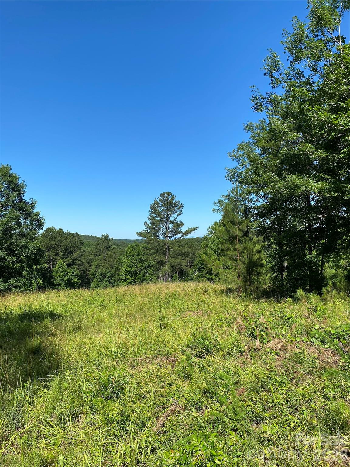 Island Pointe at Lake Vistas - Land