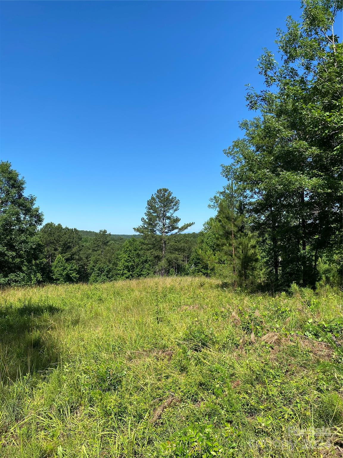 Island Pointe at Lake Vistas - Land