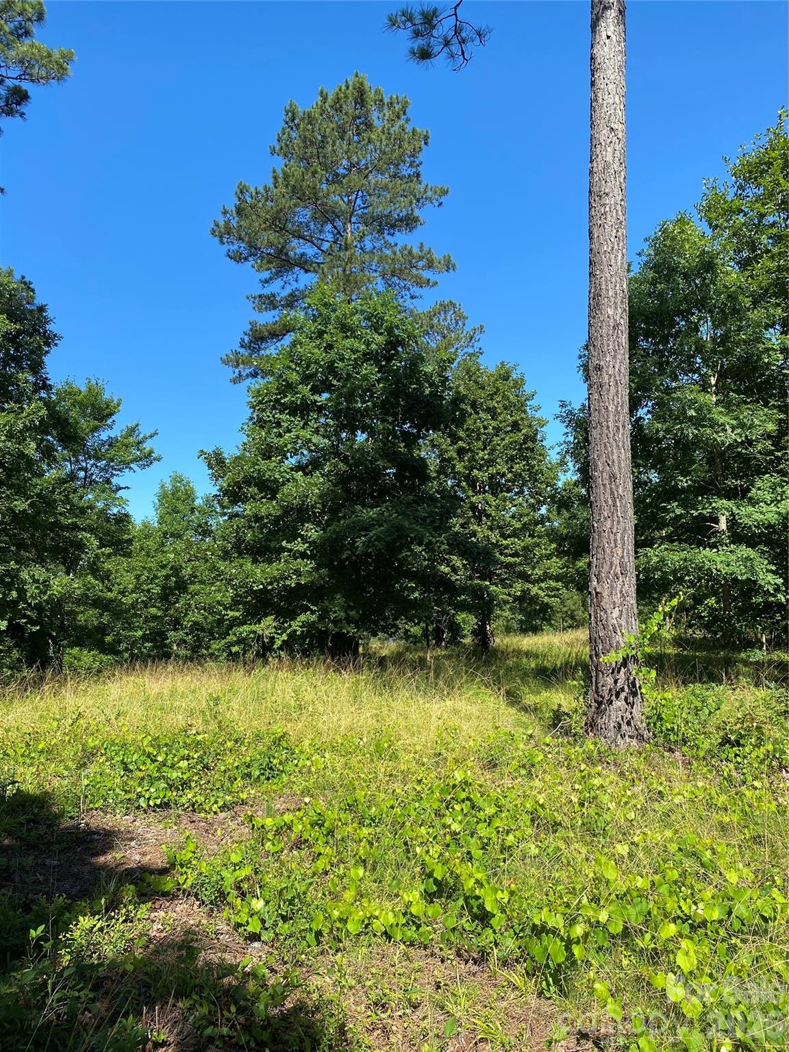 Island Pointe at Lake Vistas - Land