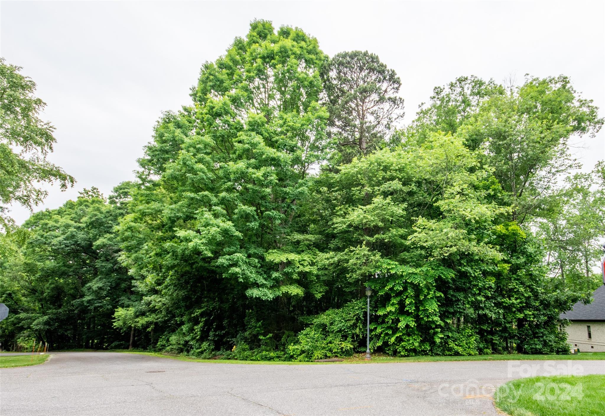 Dogwood Hills - Land