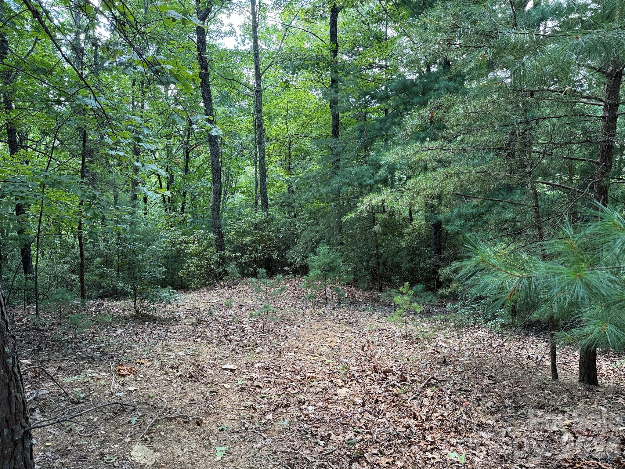 TBD Hickory Hollow Road 102 & 103