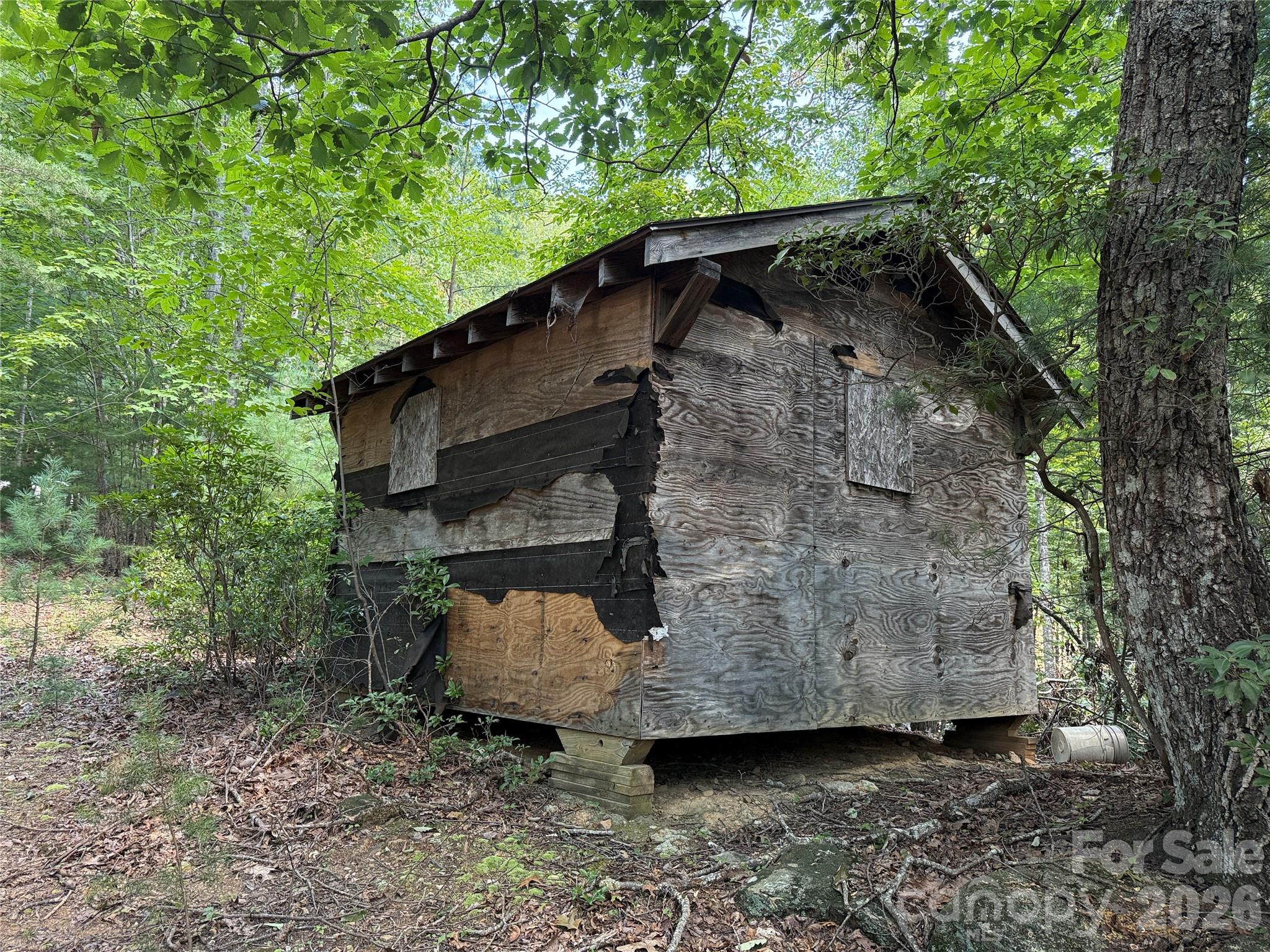 Buck Mountain - Land