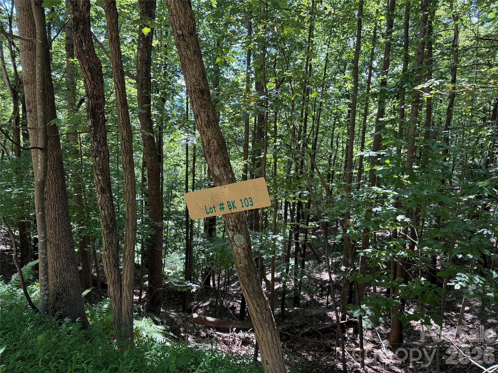 Buck Mountain - Land