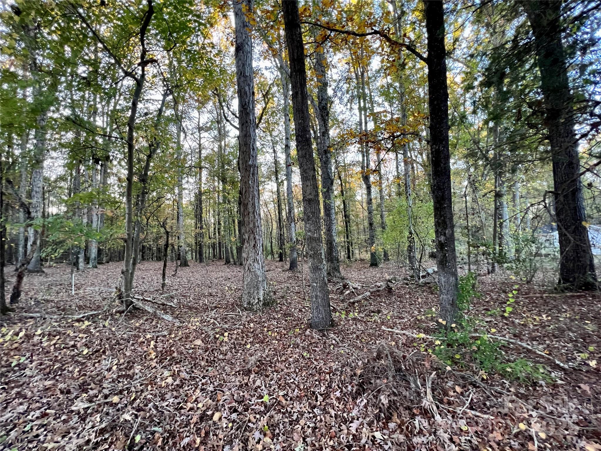 00 Charlotte Highway